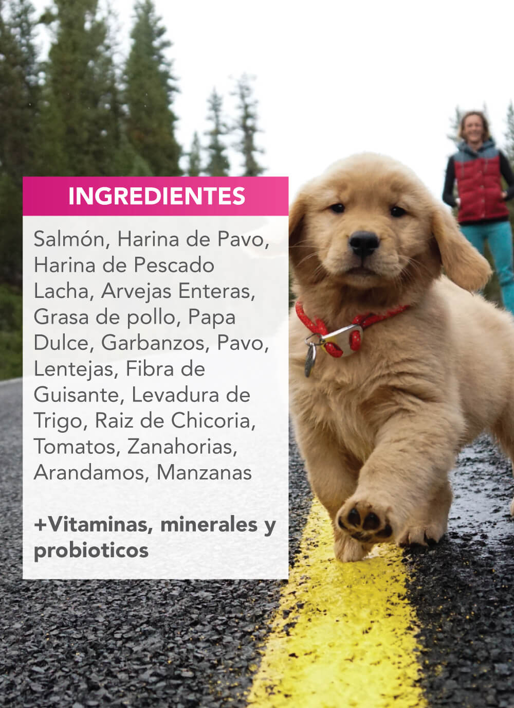 NULO Alimento Seco para Perro Grain Free Puppy - Salmón 4.5Lbs