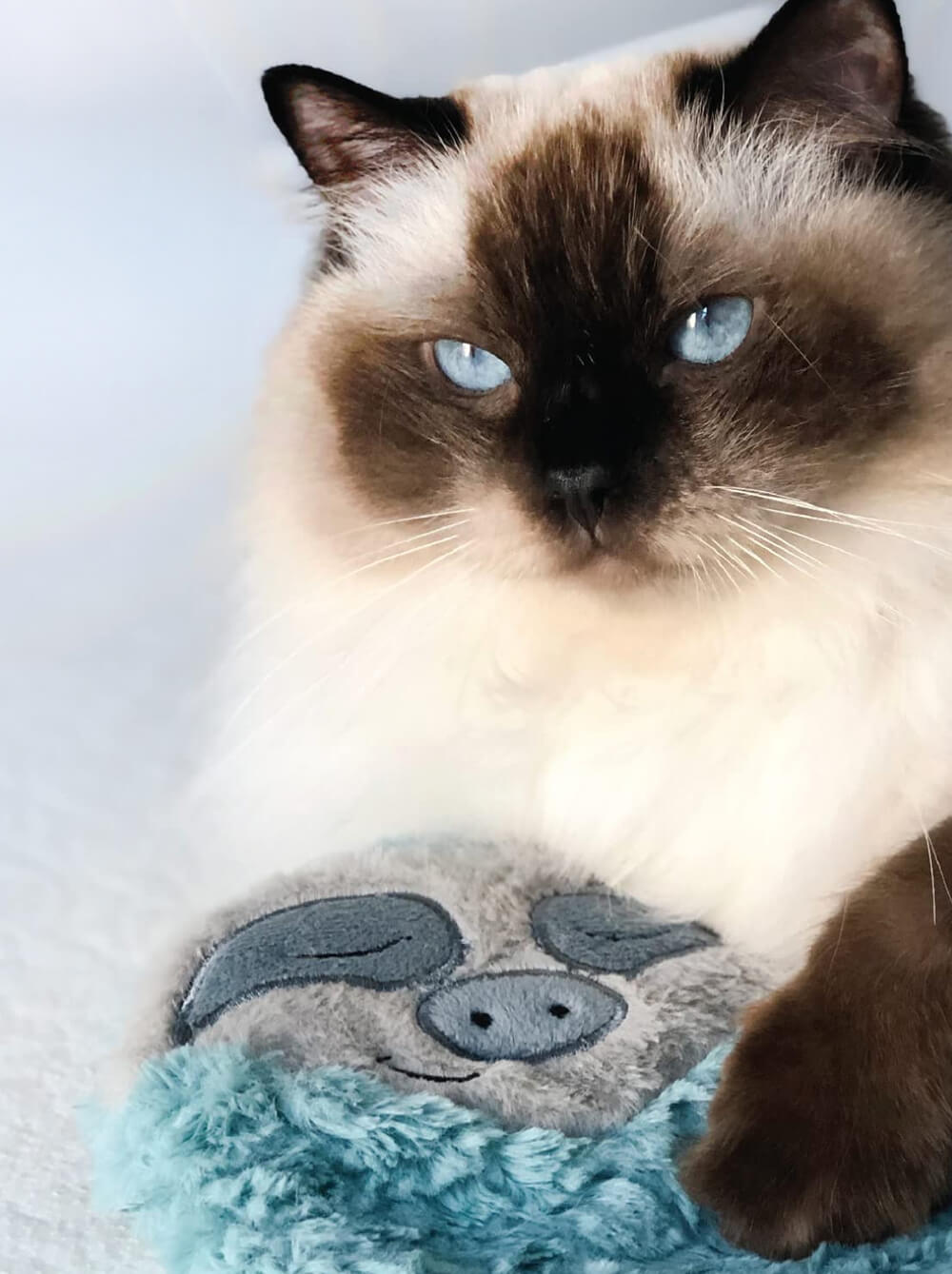 PETSTAGES Juguete para Gato Peluche Purr Pillow