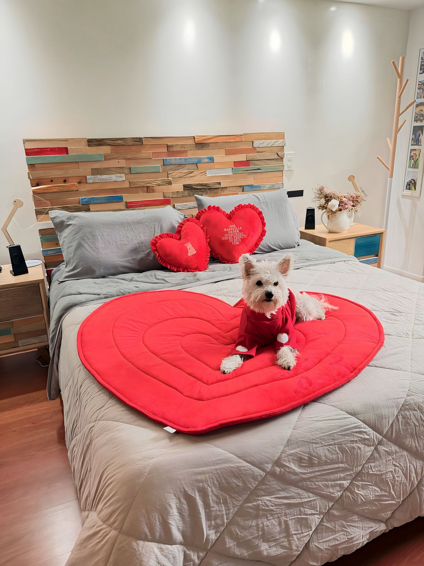 KIT COJINES ENTRELAZOS