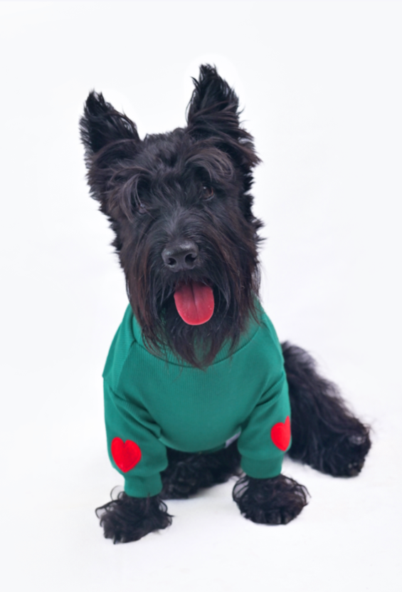 Cuello de Tortuga Milan