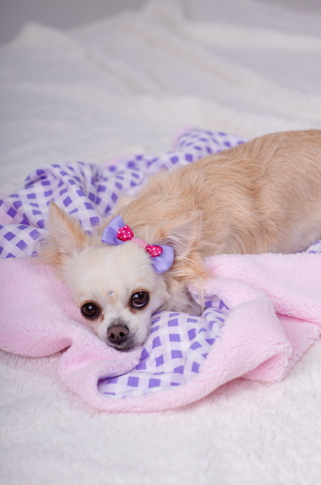 Cobija Leñadora Lila