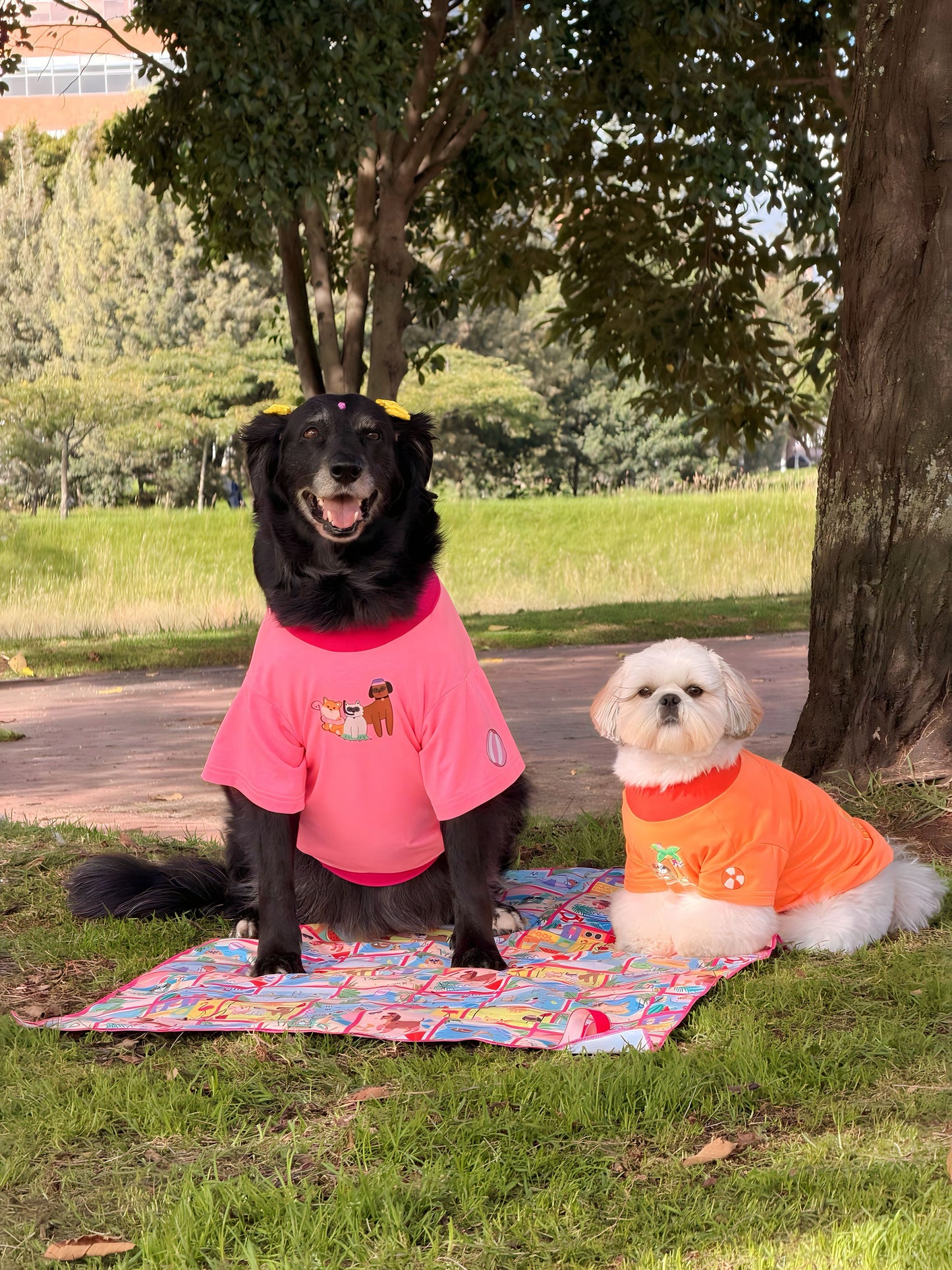 CAMISETA DOG POOL PARTY NARANJA