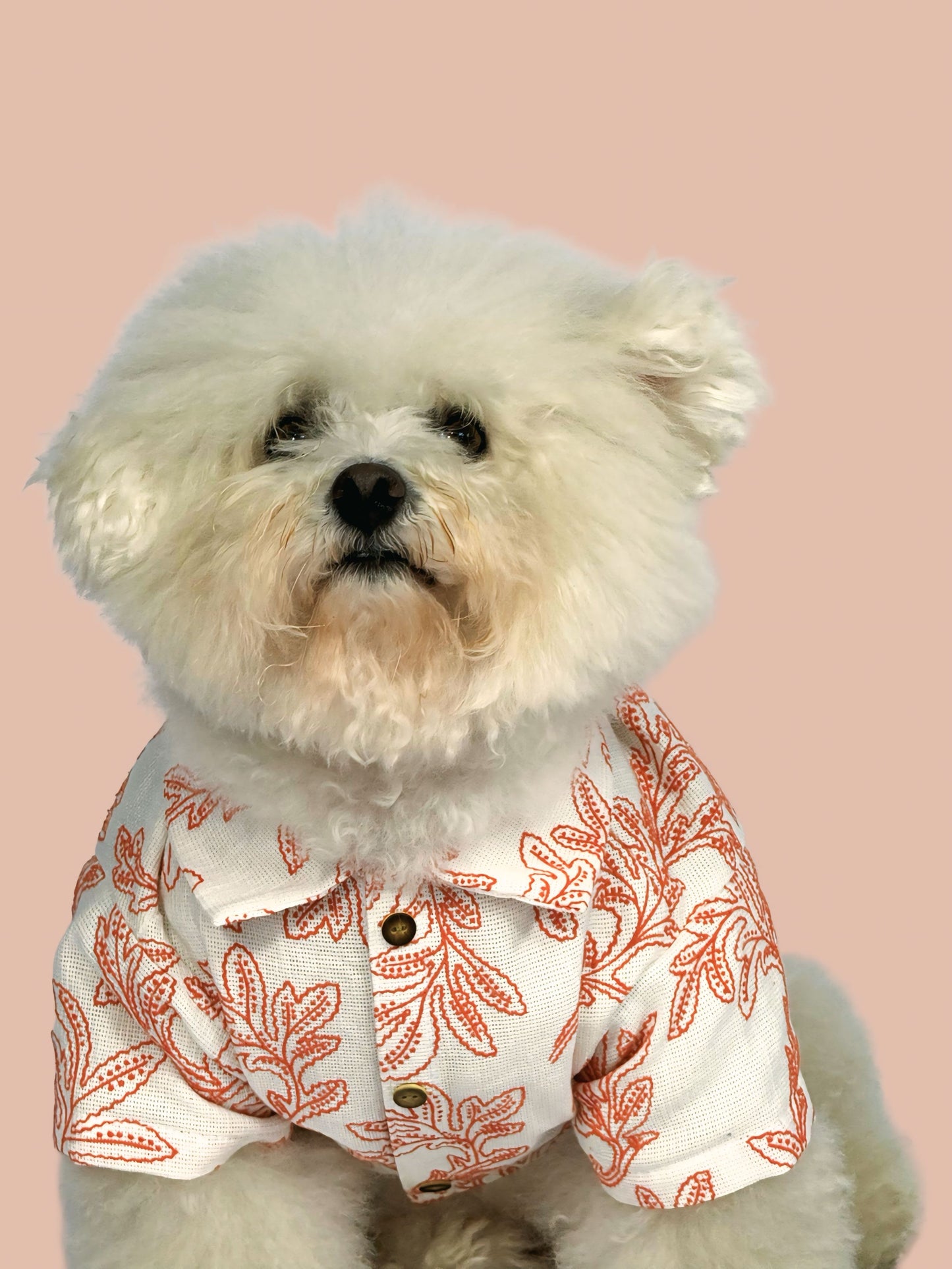 Camisa Praga
