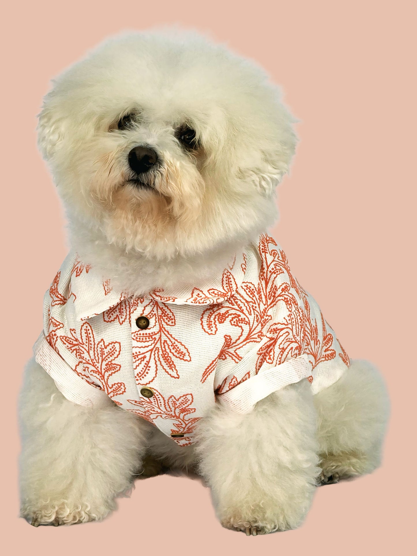 Camisa Praga