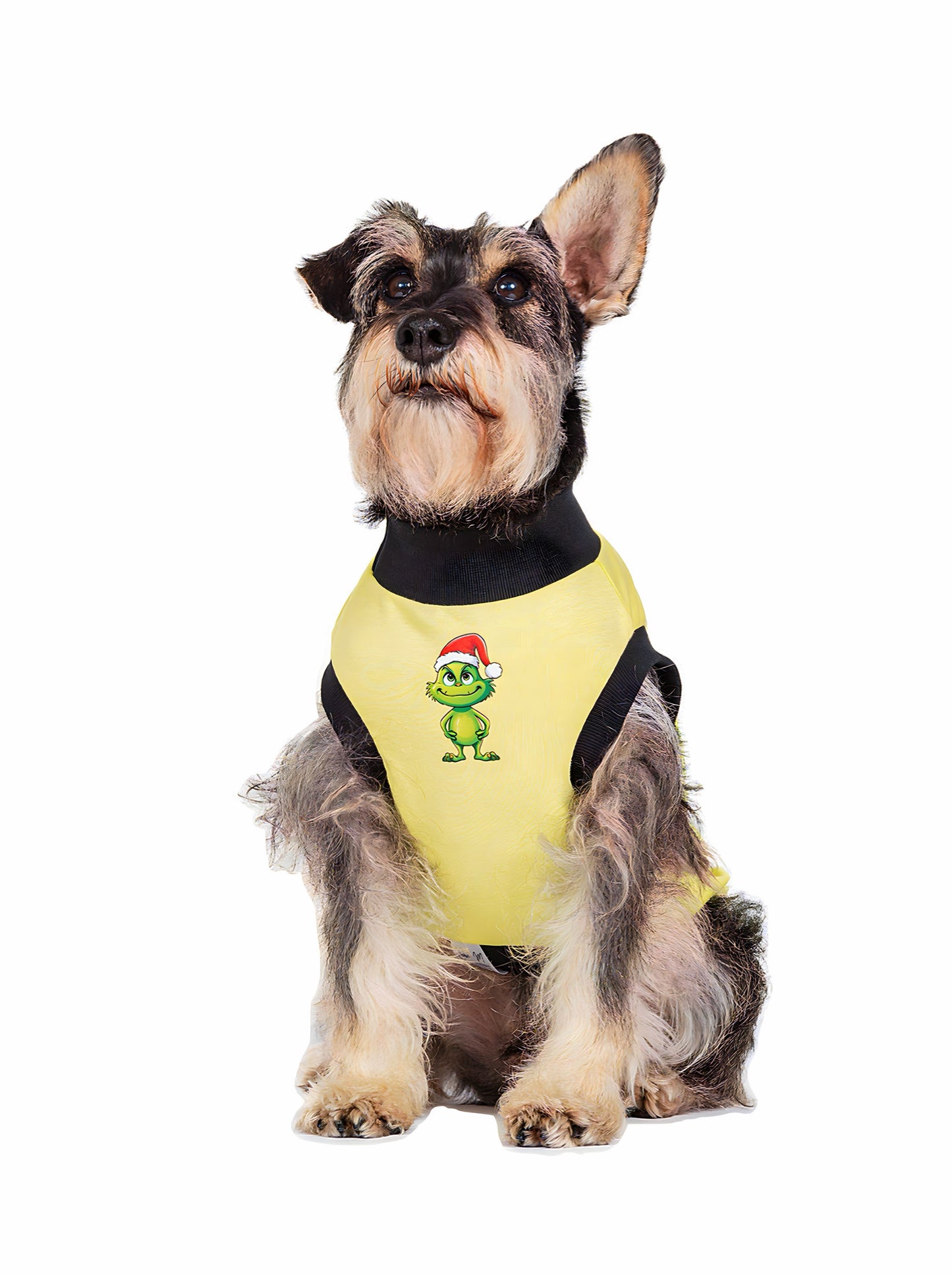 Esqueleto 99% Grinch