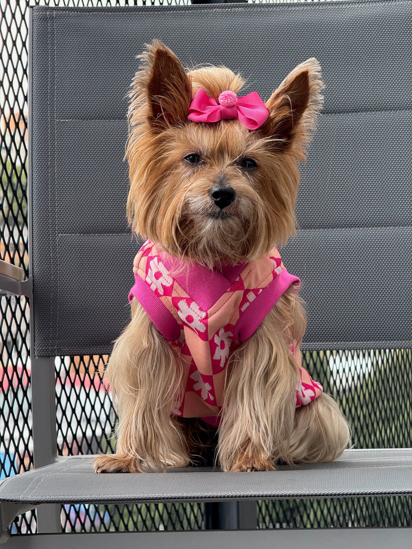 Chaleco Flow Paw Rosa