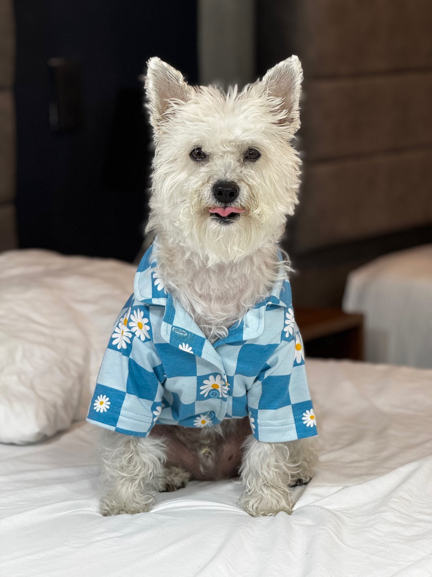 Camisa Pop