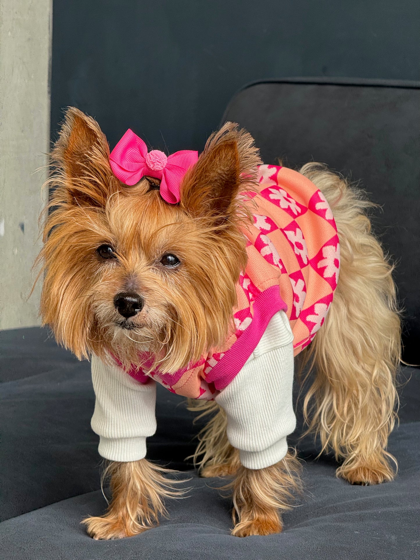 Chaleco Flow Paw Rosa