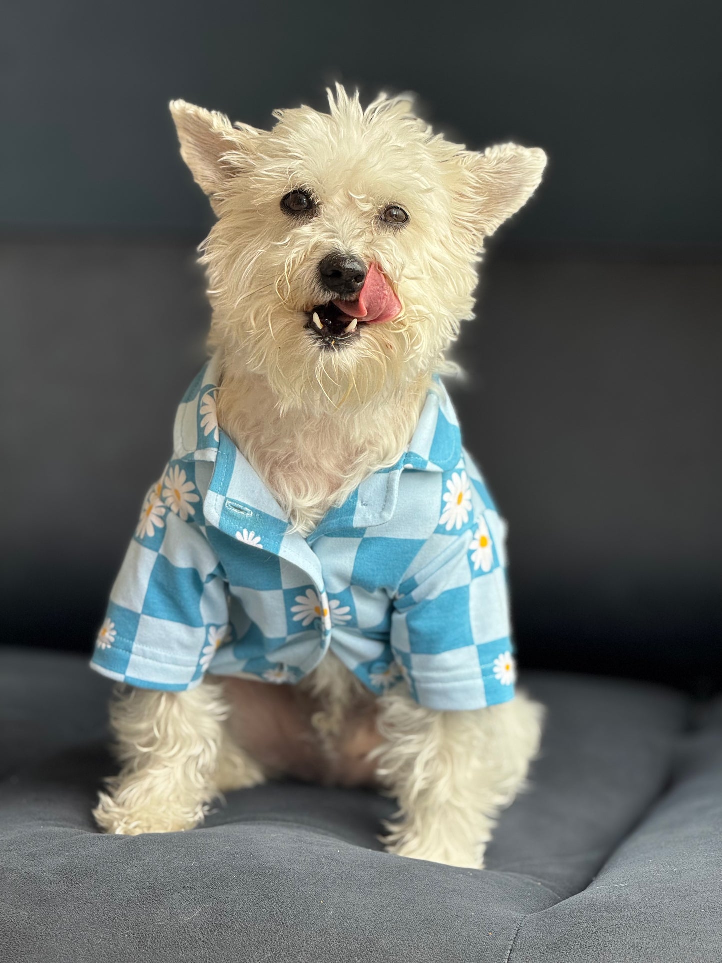 Camisa Pop