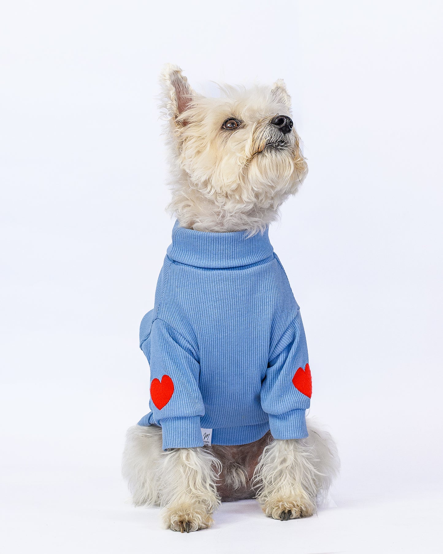 Cuello Tortuga Londres