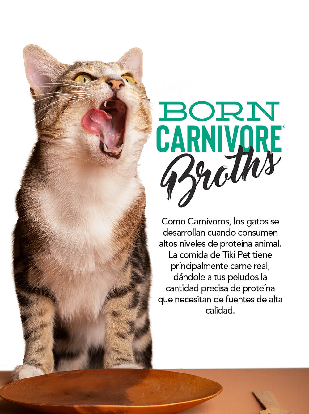TIKI CAT Broth - Atún en Caldo - Pocuh 37gr