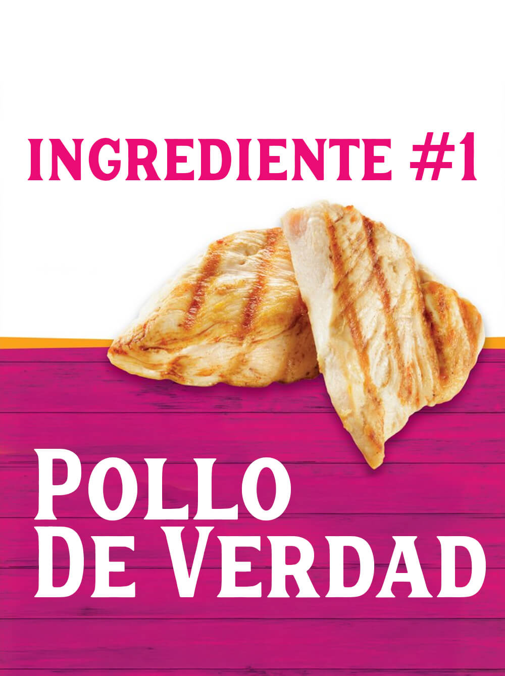 TRIUMPH Alimento Humedo para perro-Pollo y Vegetales 374gr