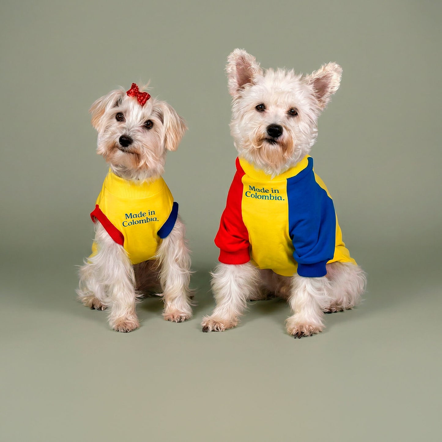 Esqueleto Made In Colombia