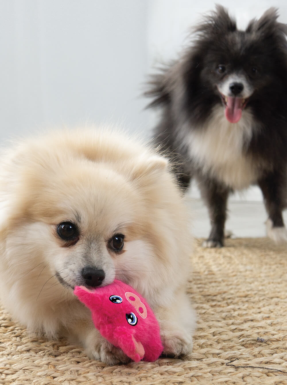 KONG Juguete para perro Snuzzles Mini Pig-XS