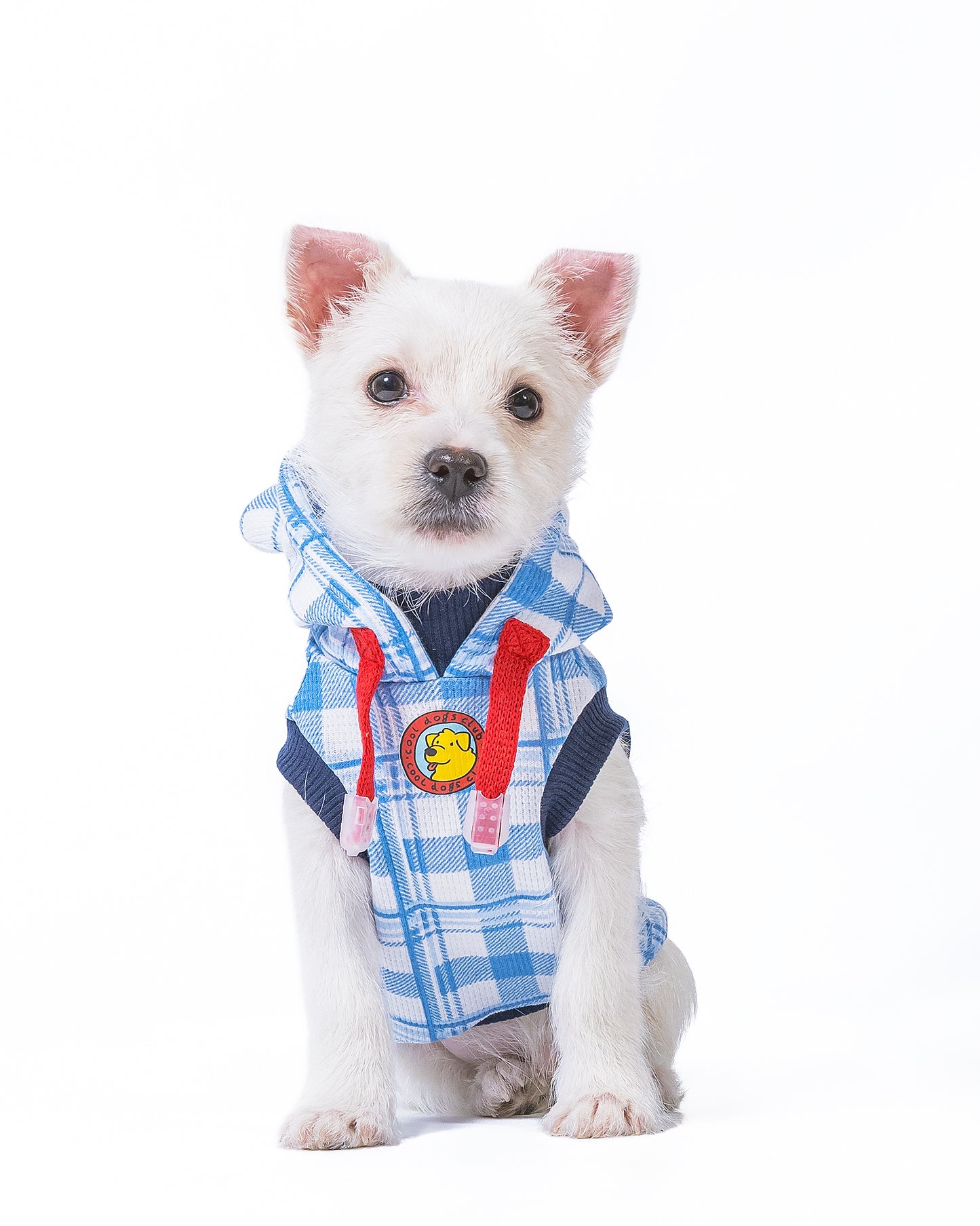 Hoodie dogs club orejas