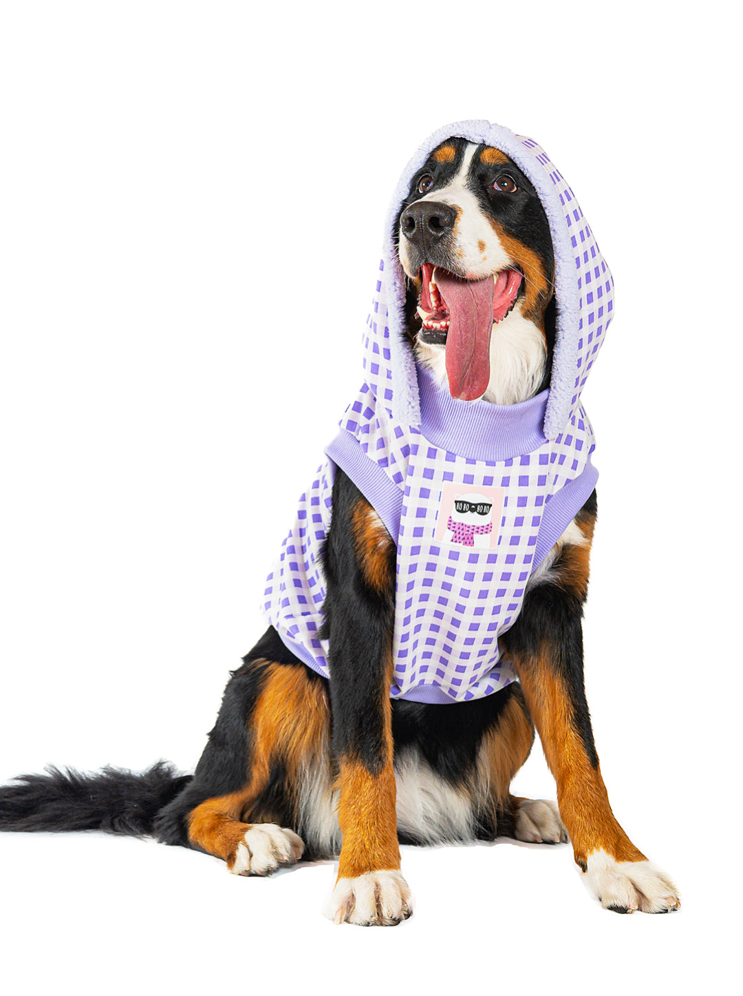 Hoodie Leñador Lila