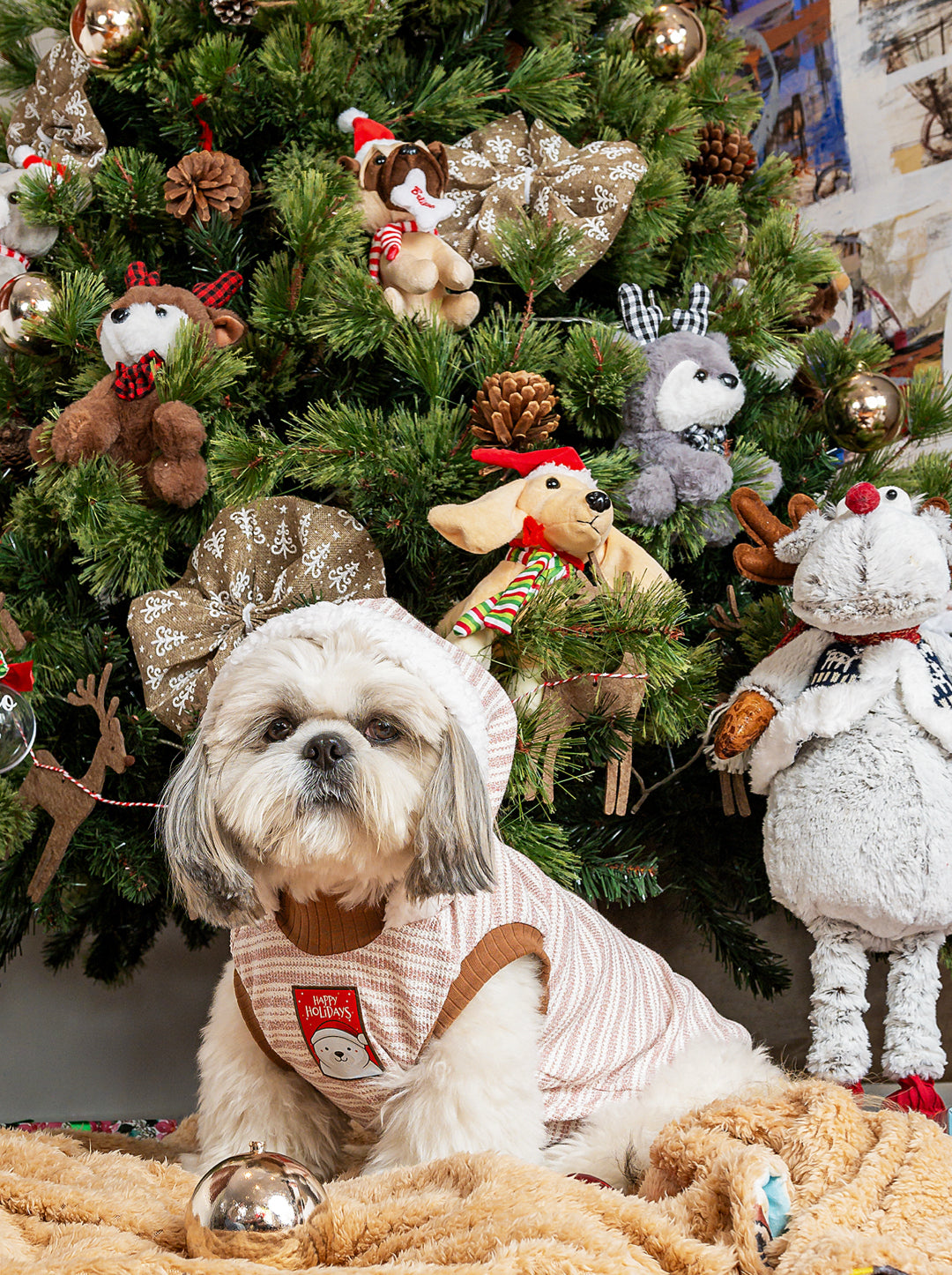 Hoodie Brisa de Invierno