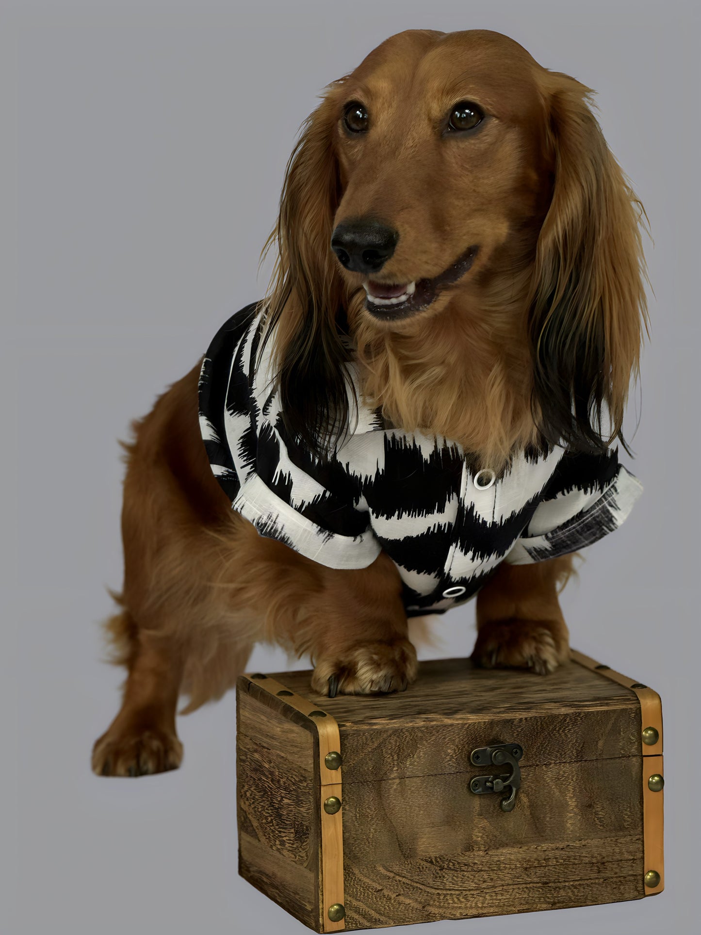 Camisa Lisboa