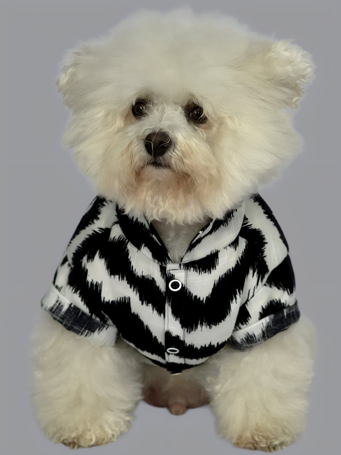 Camisa Lisboa