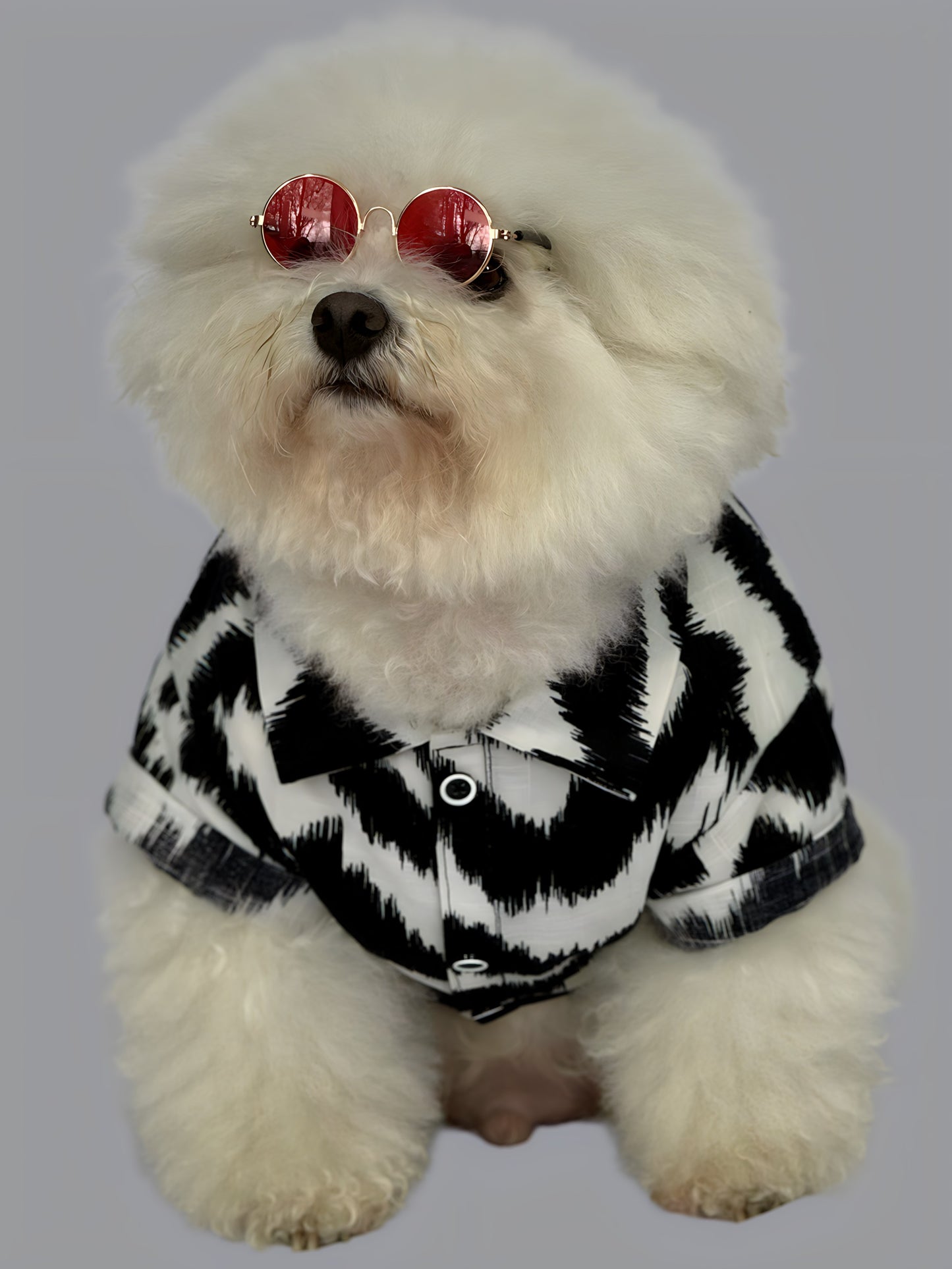 Camisa Lisboa