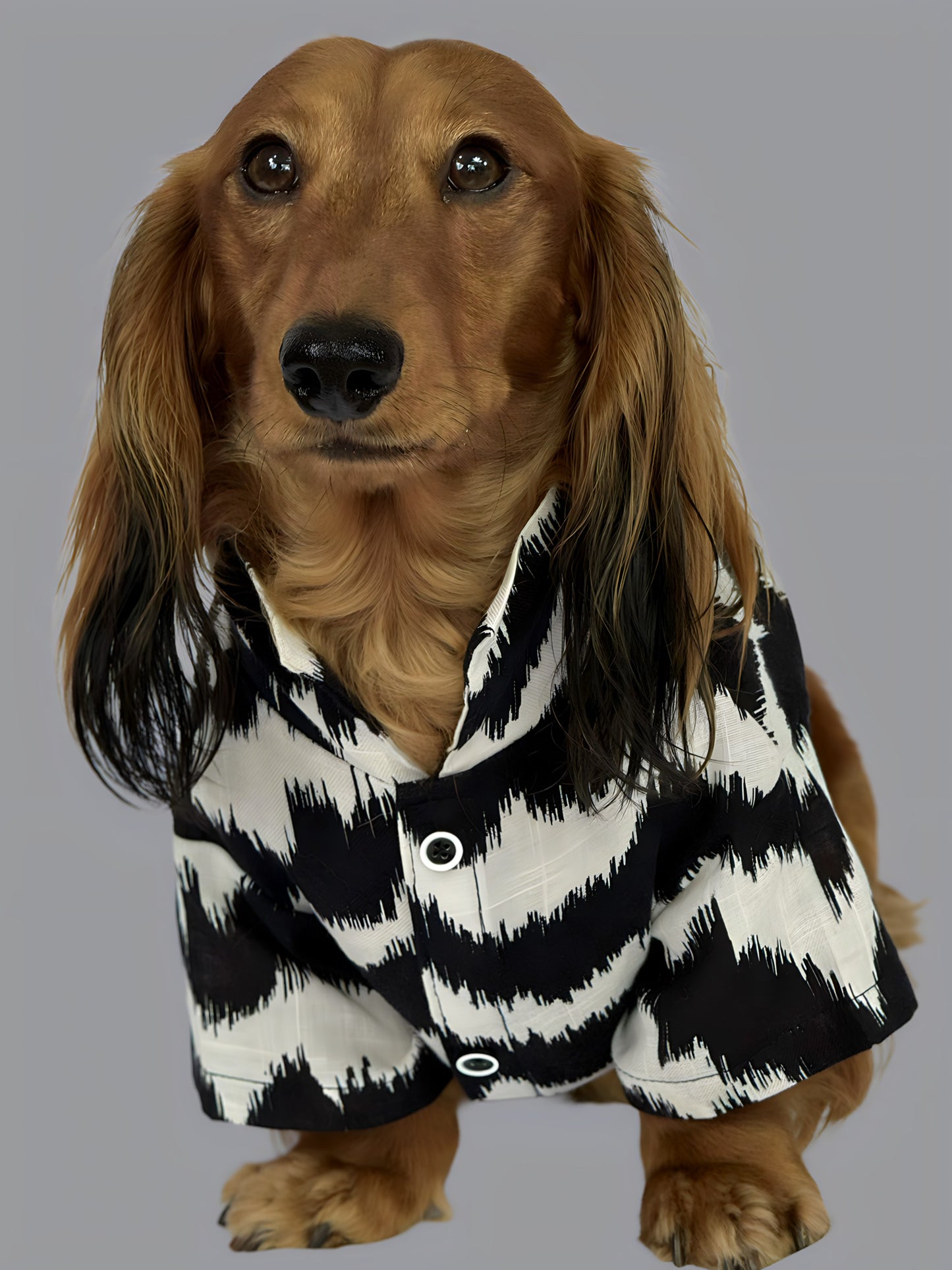 Camisa Lisboa