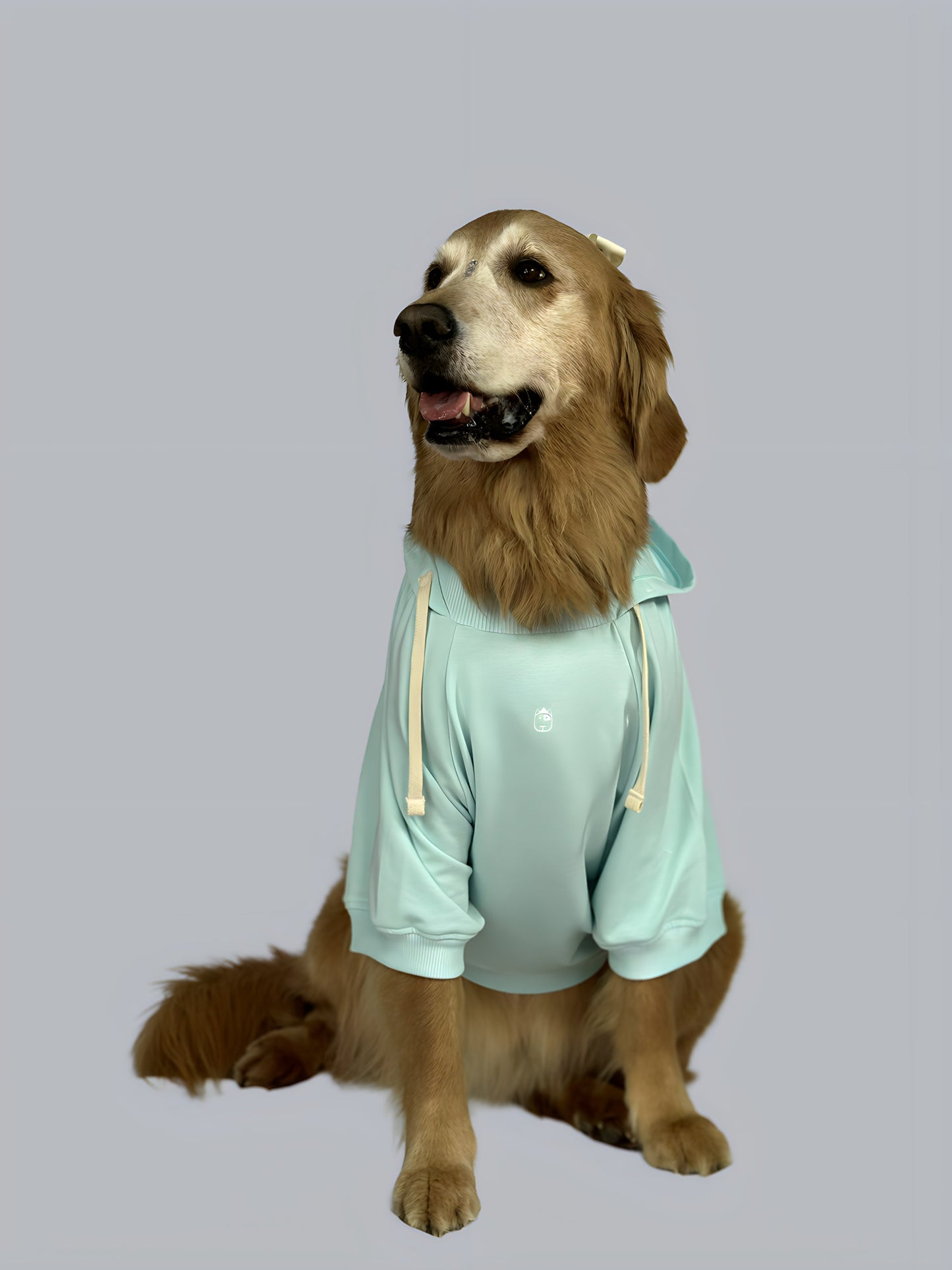 Hoodie Basic Menta