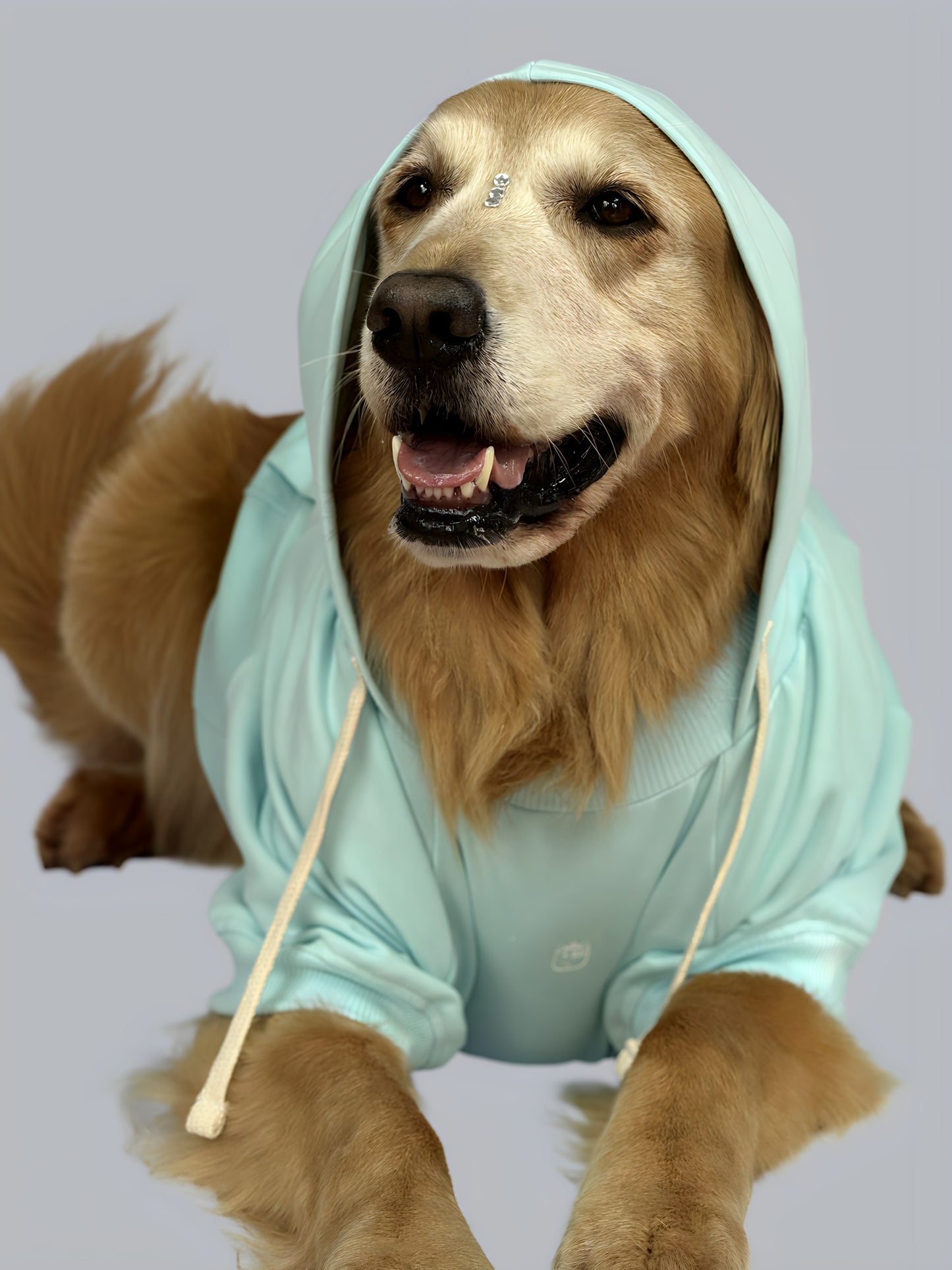 Hoodie Basic Menta