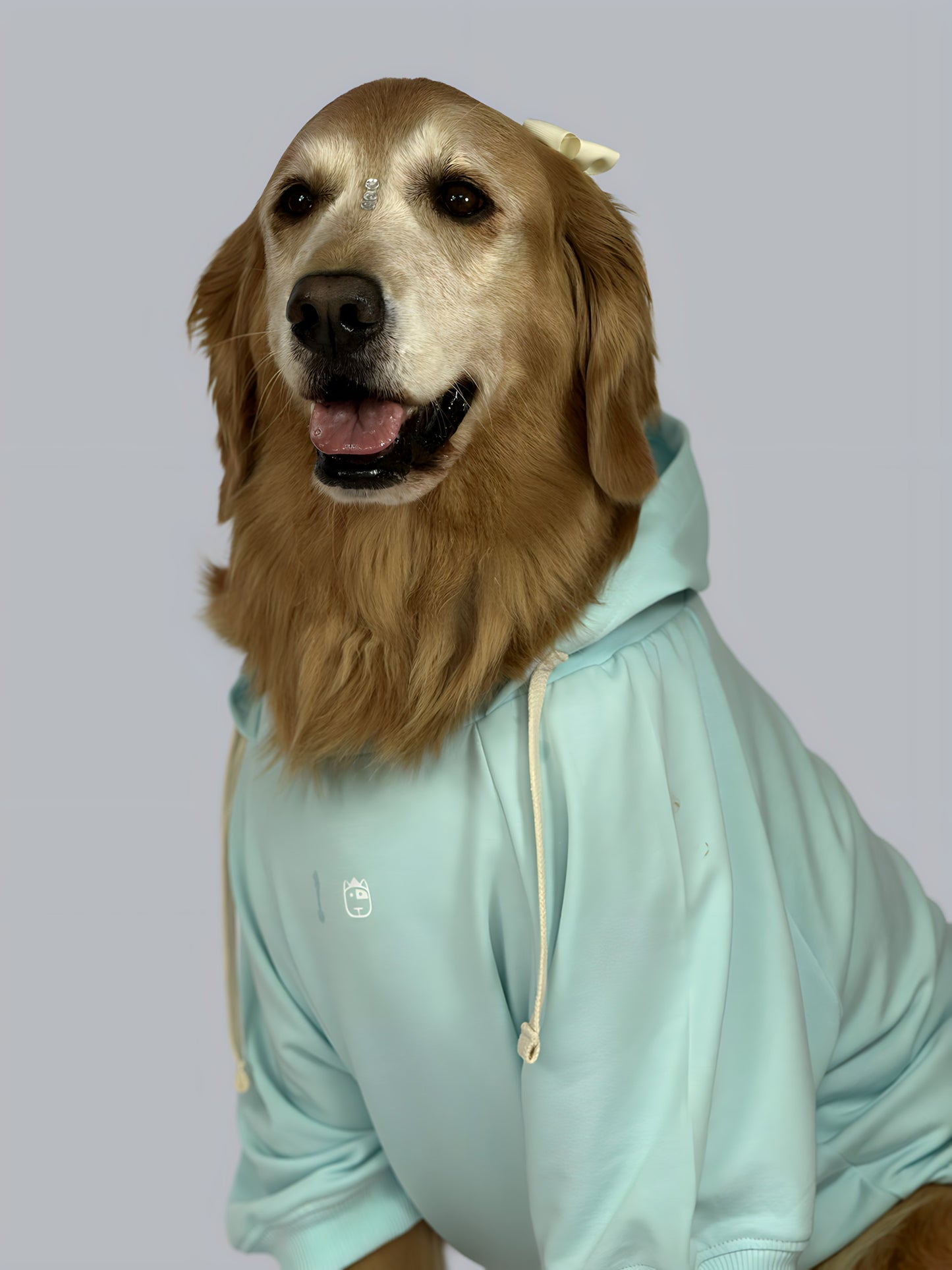 Hoodie Basic Menta
