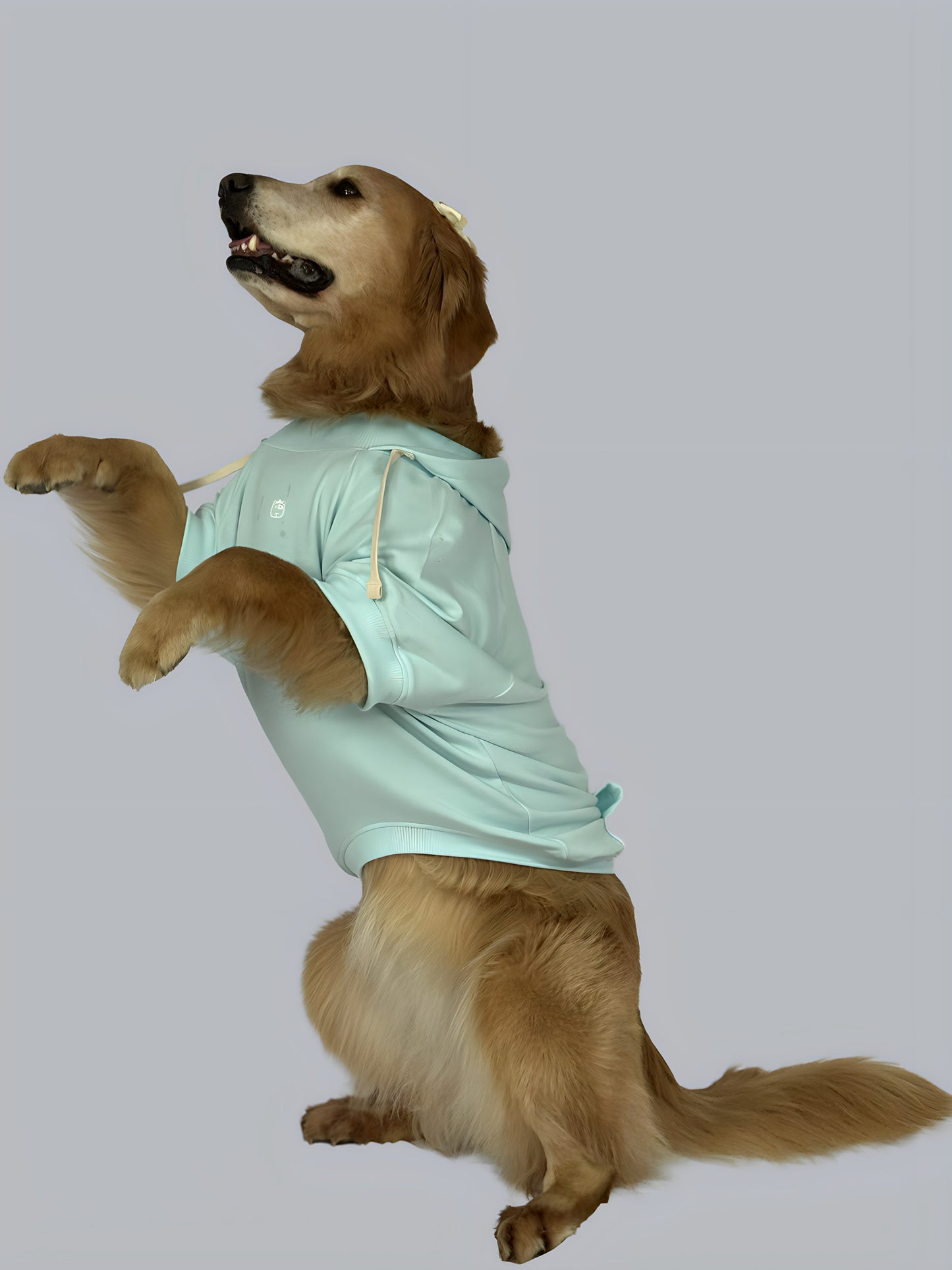 Hoodie Basic Menta