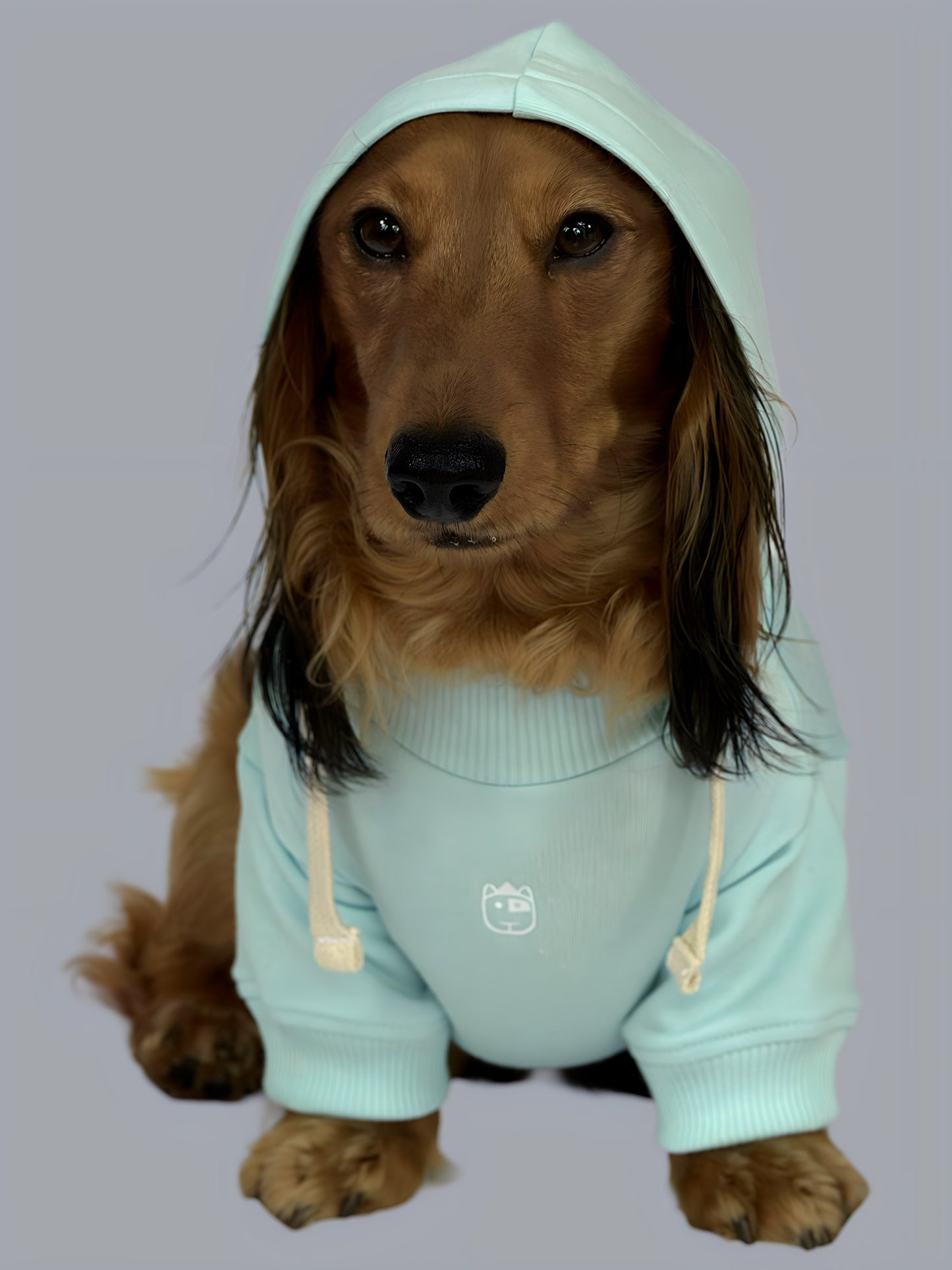 Hoodie Basic Menta