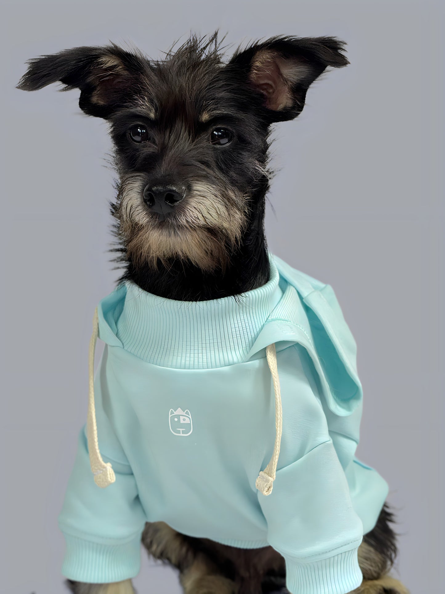 Hoodie Basic Menta
