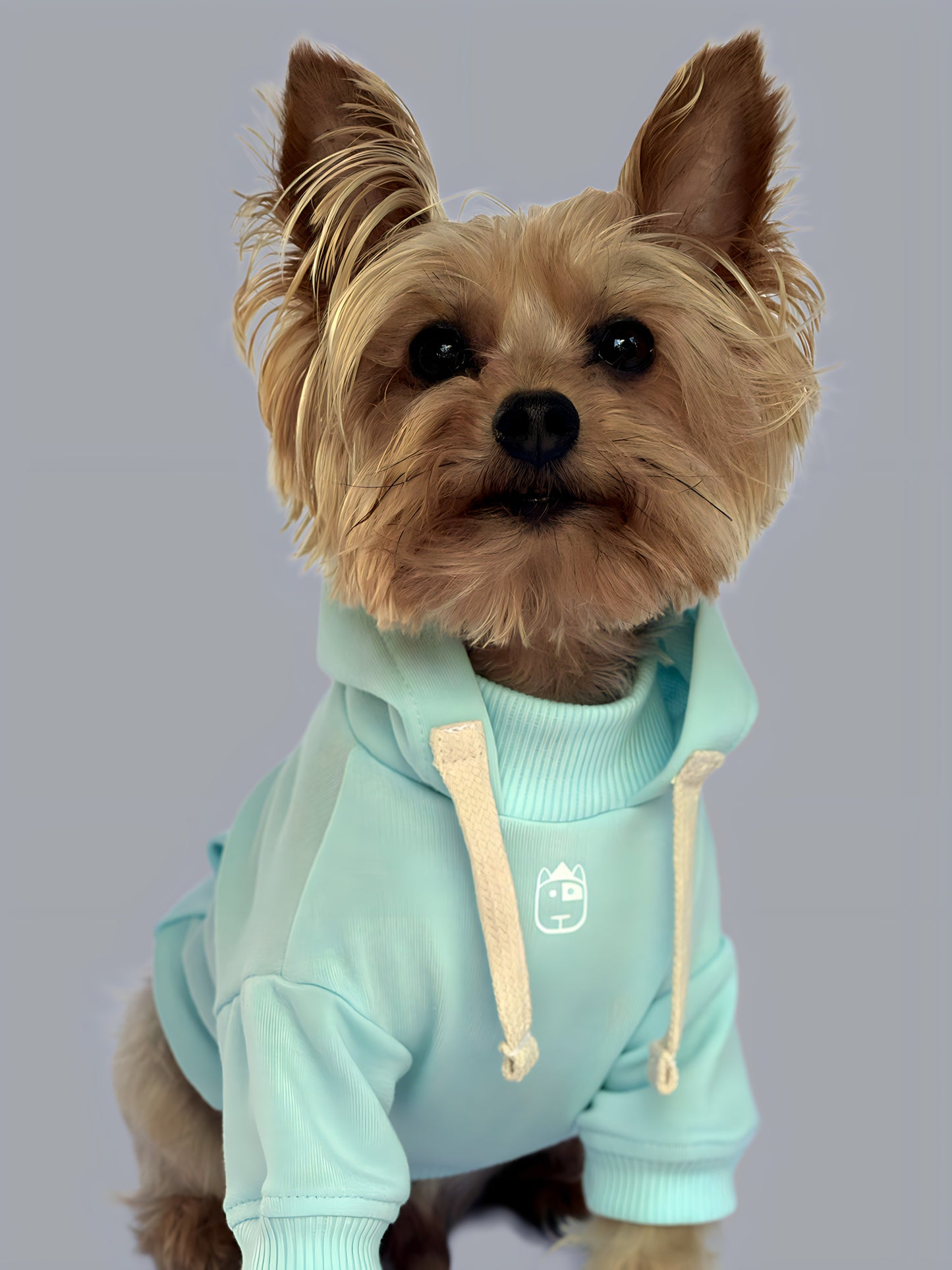 Hoodie Basic Menta