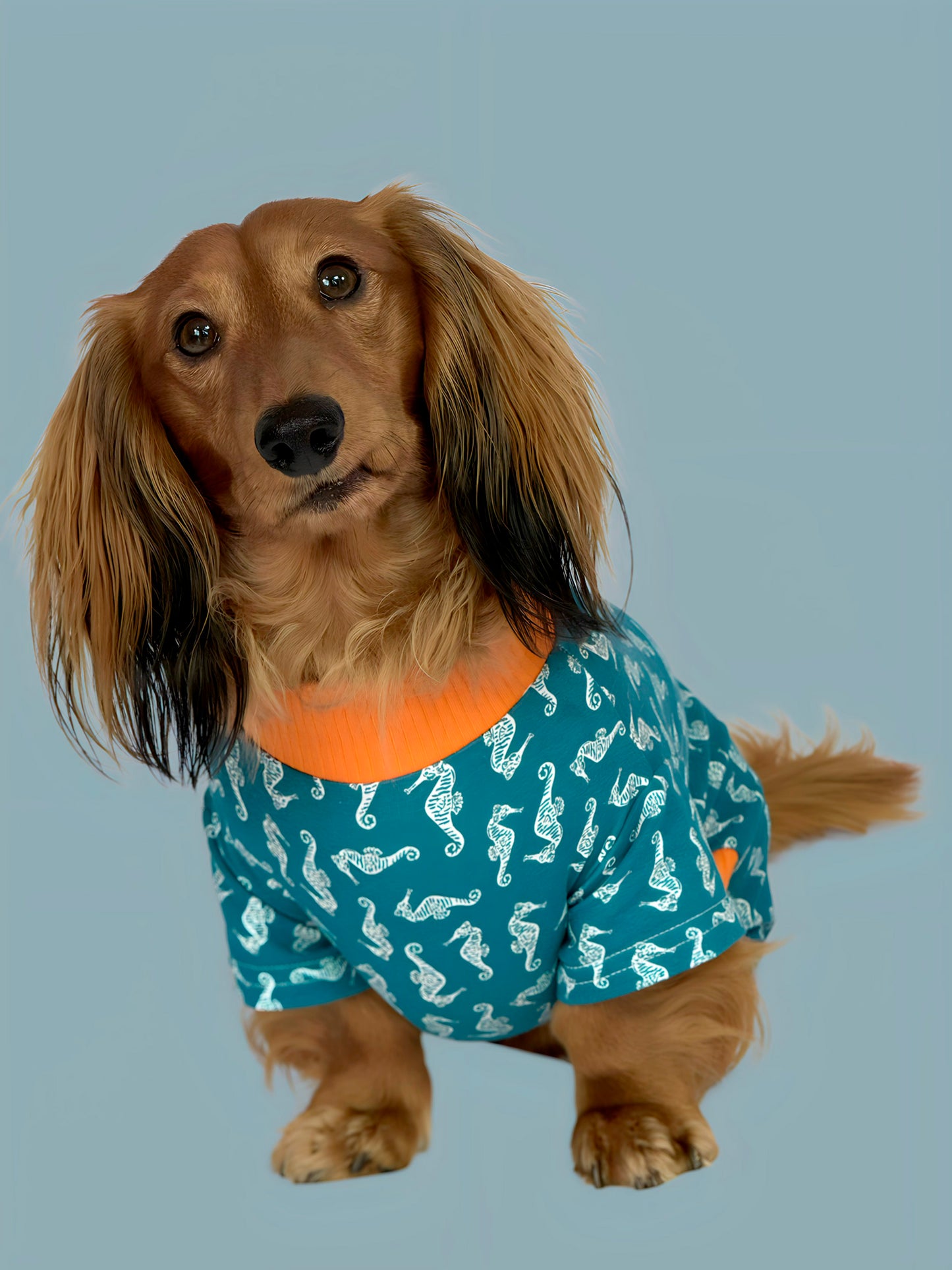 Pijama Costa Azul