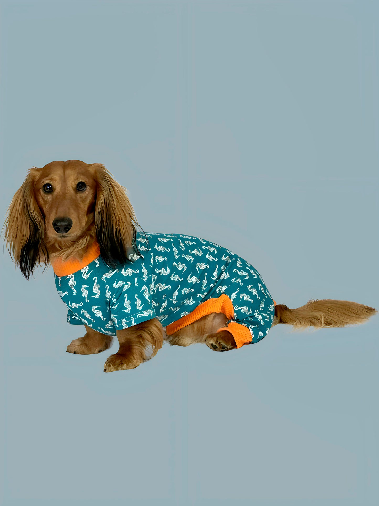 Pijama Costa Azul