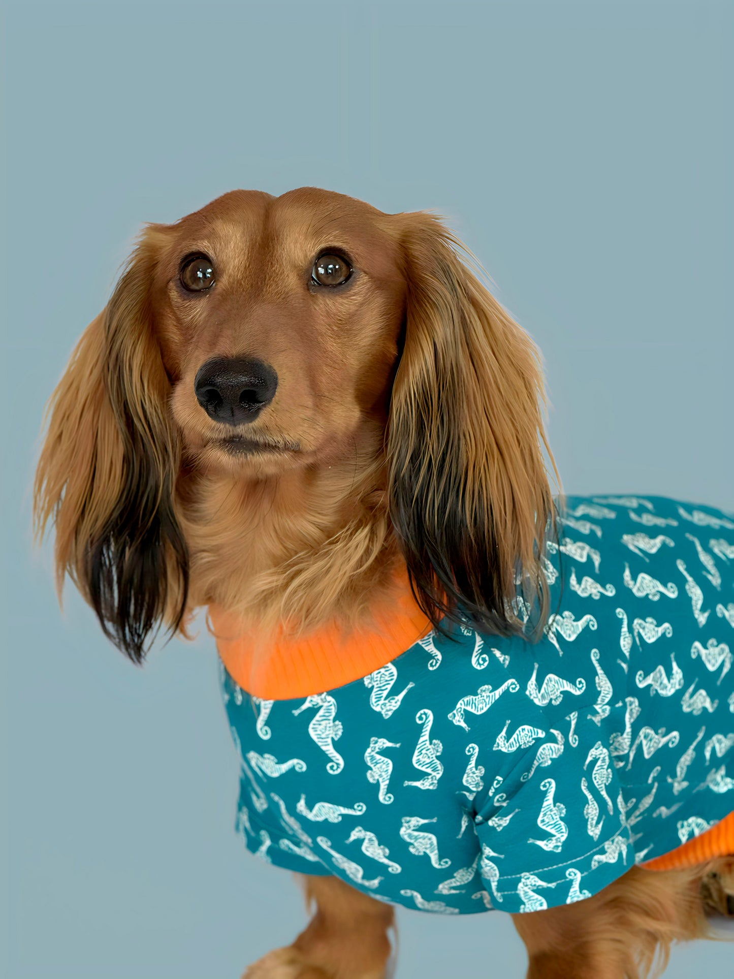 Pijama Costa Azul
