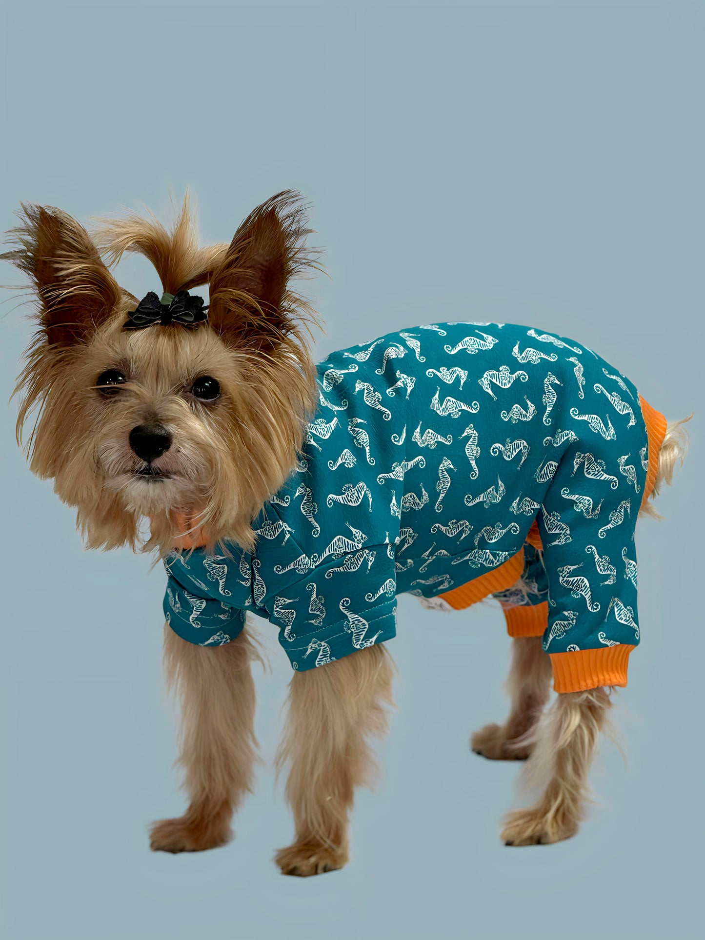 Pijama Costa Azul