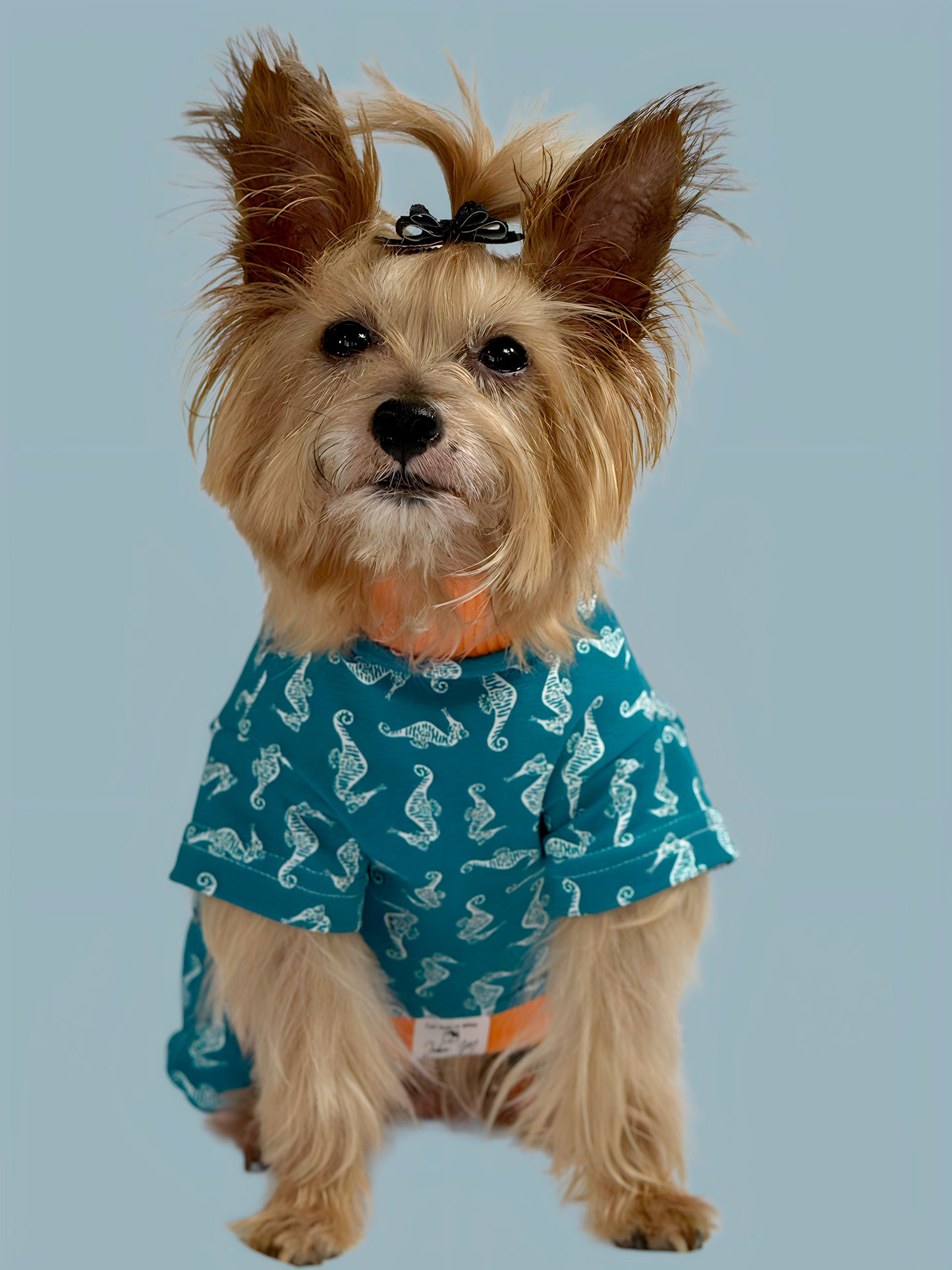Pijama Costa Azul