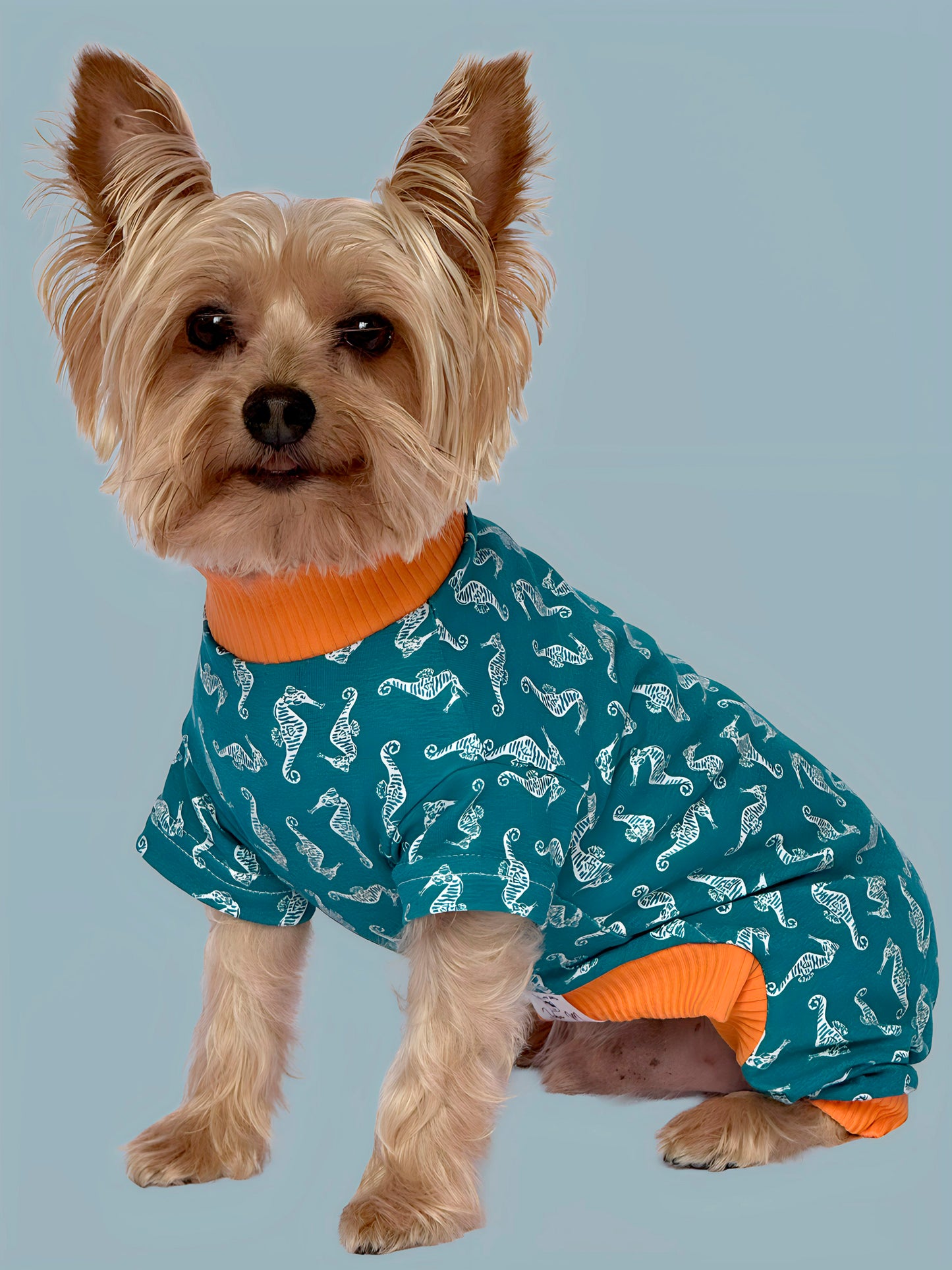 Pijama Costa Azul