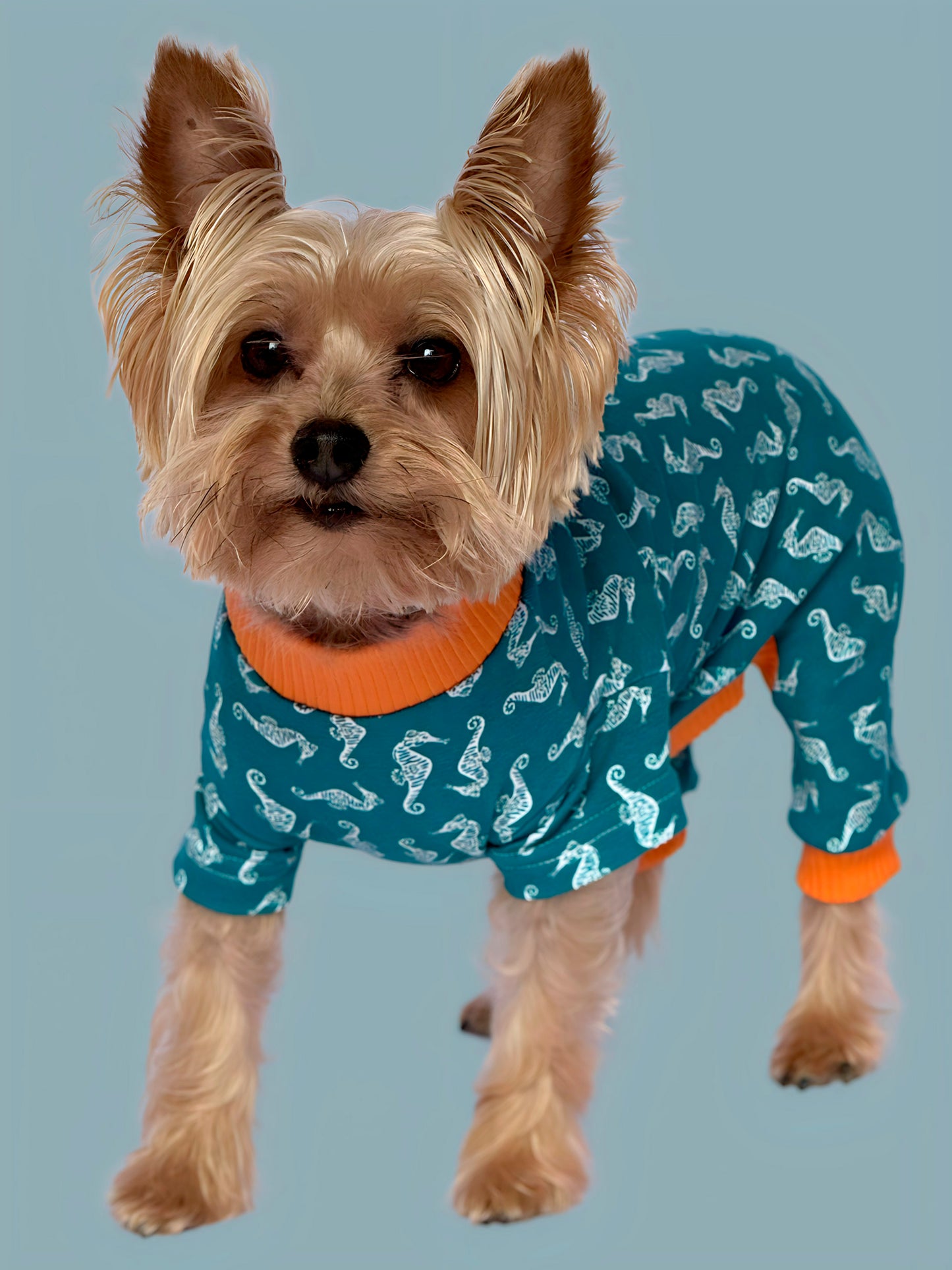 Pijama Costa Azul
