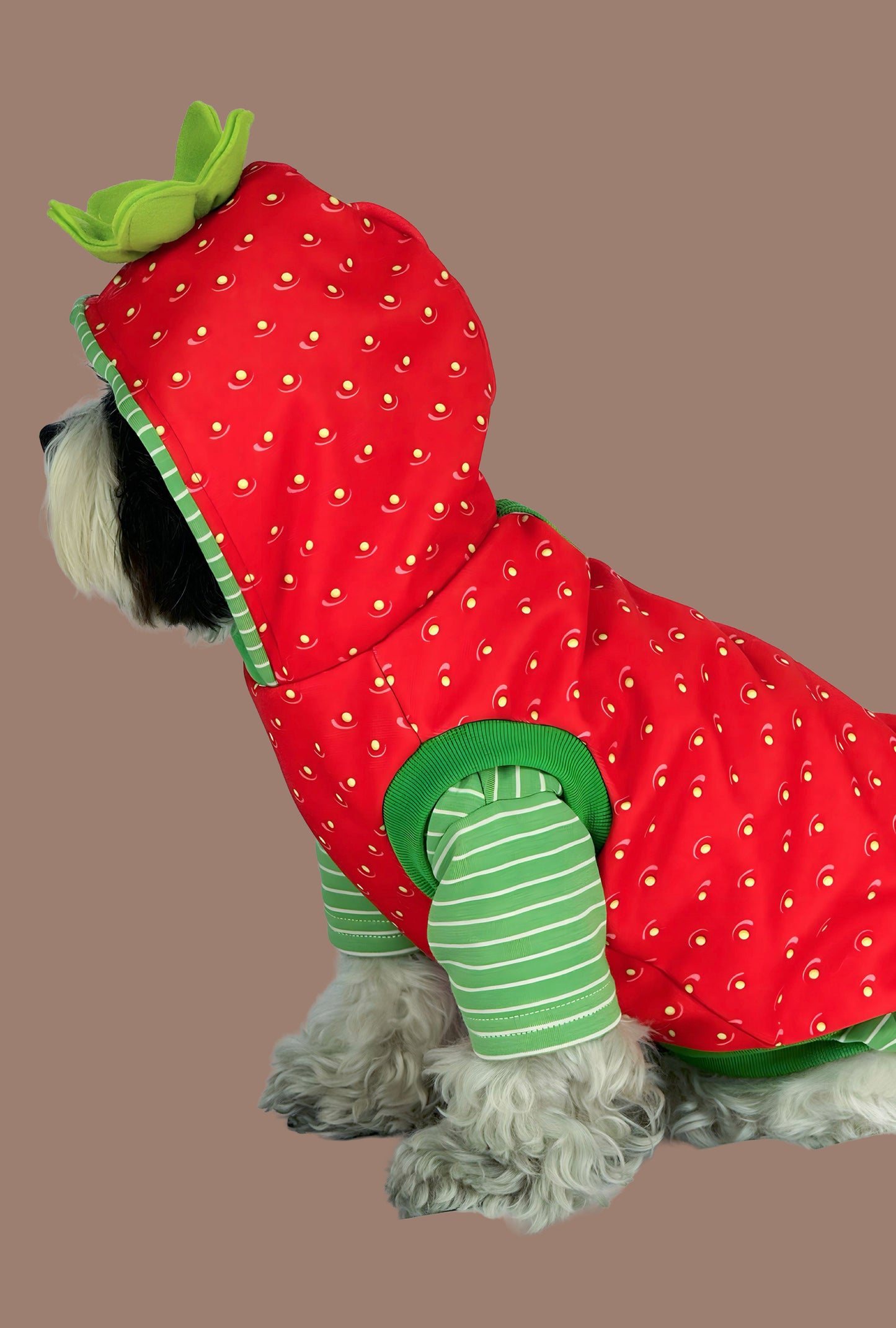 Hoodie Strawperry
