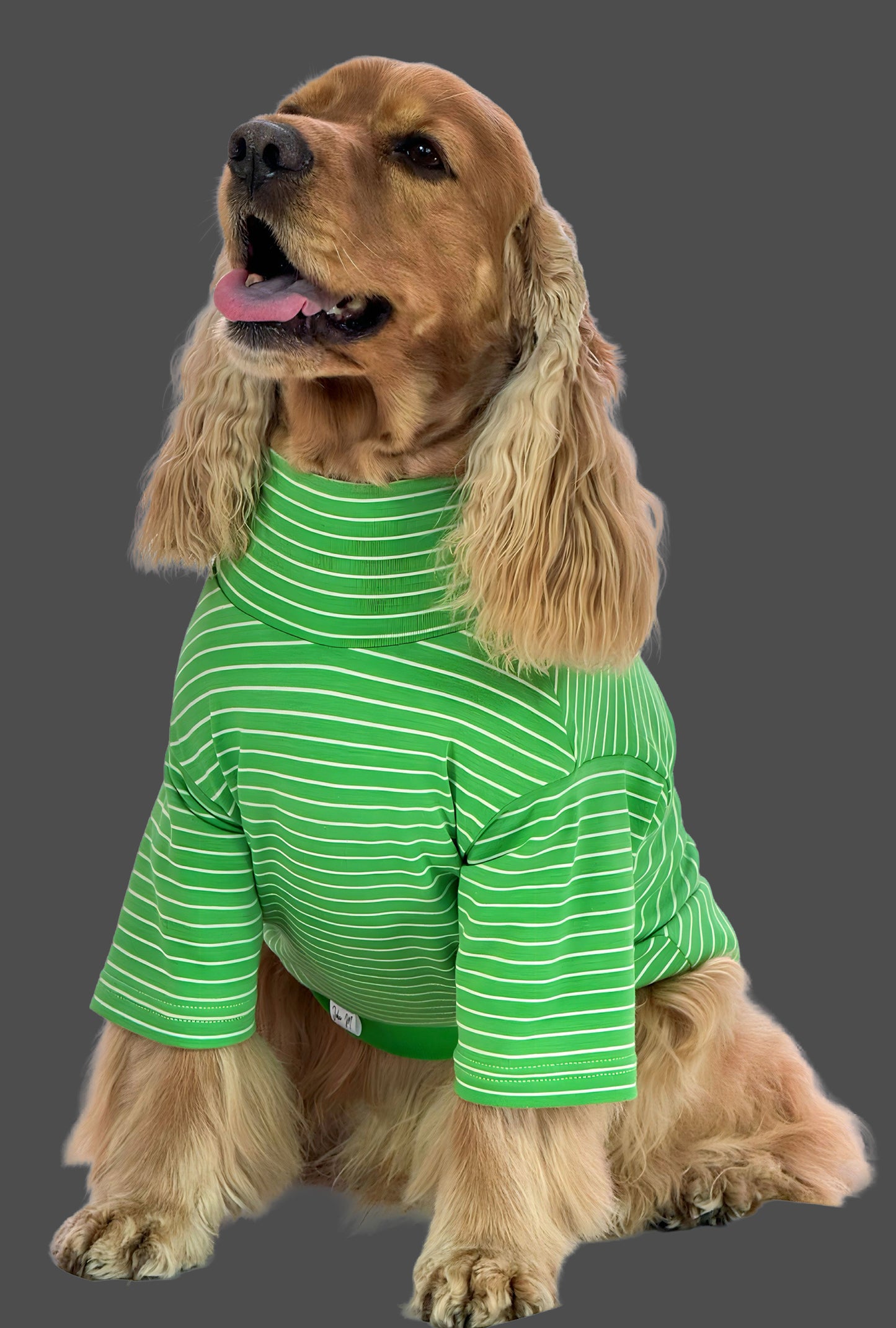 Buzo Green