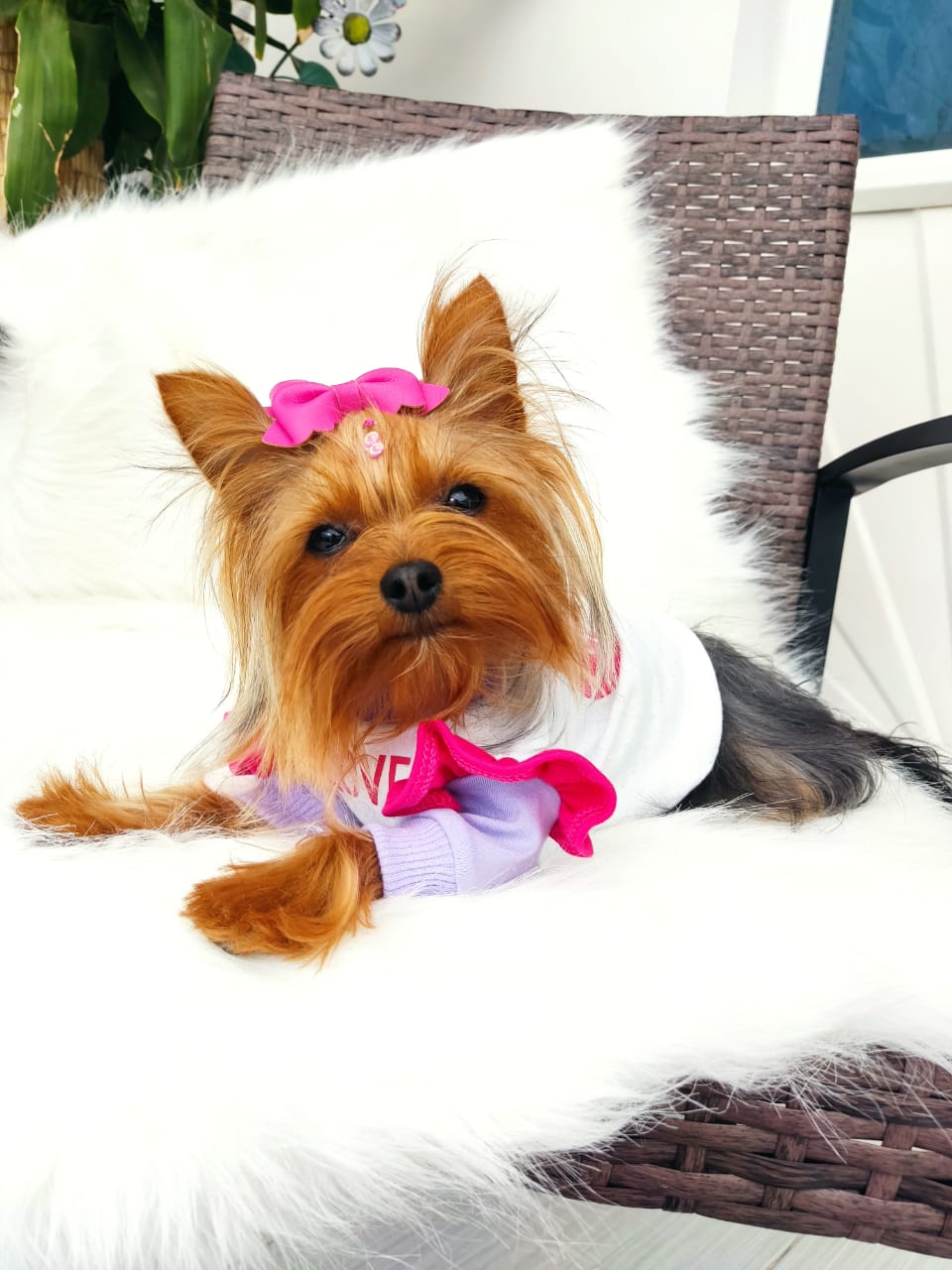 Camiseta kiss me lila
