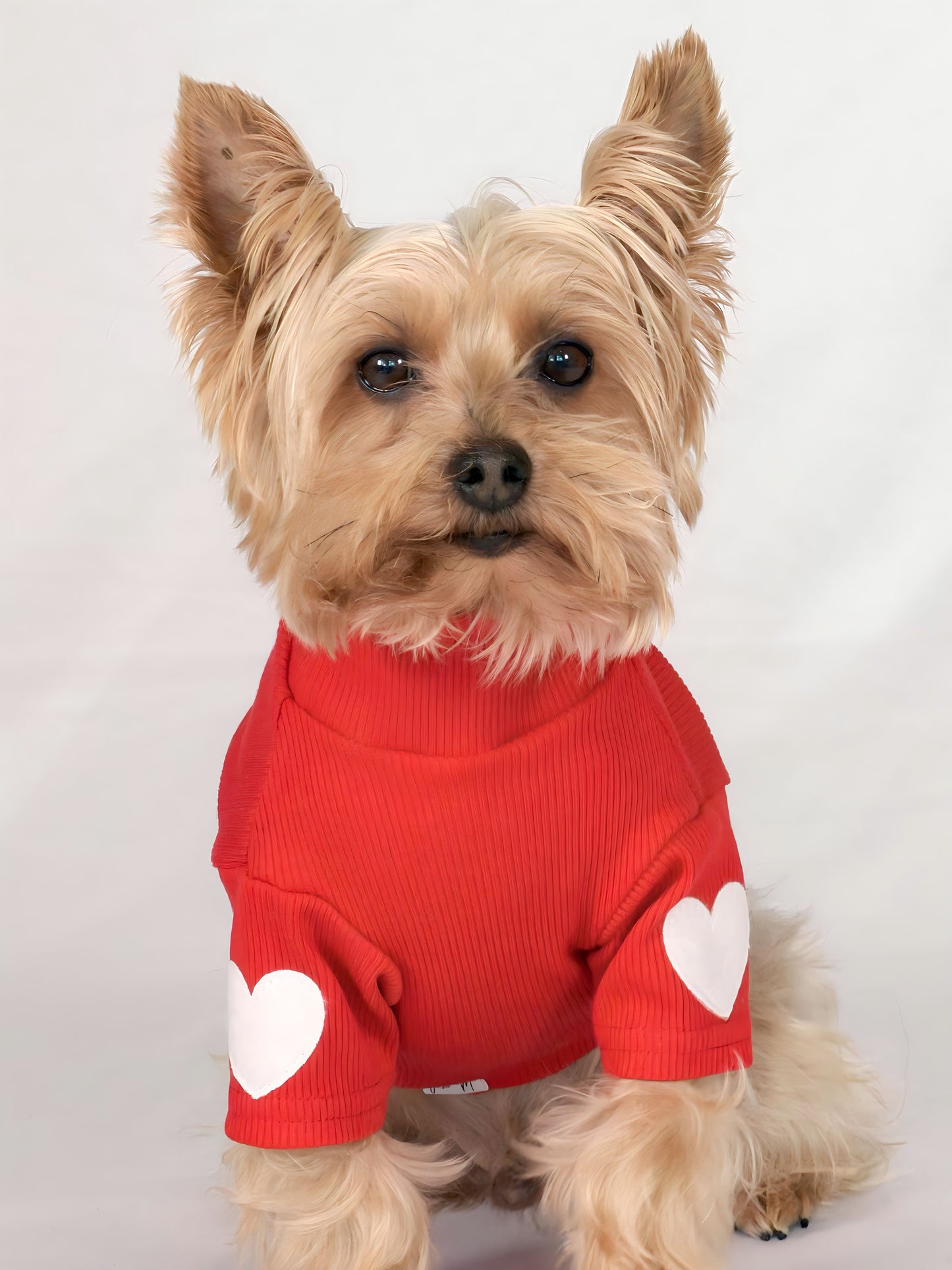 CUELLO TORTUGA BOMBÓN