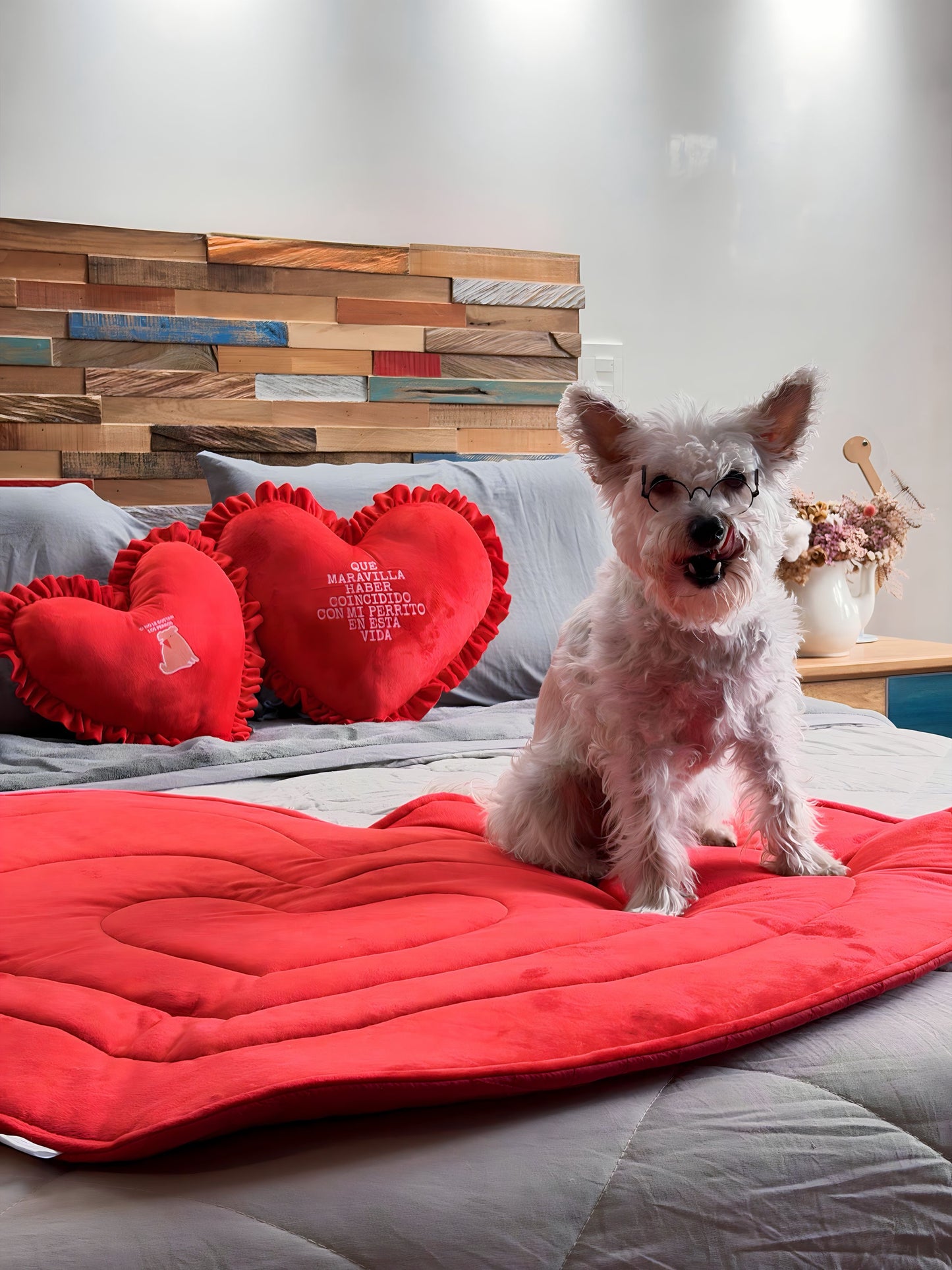 KIT COJINES ENTRELAZOS