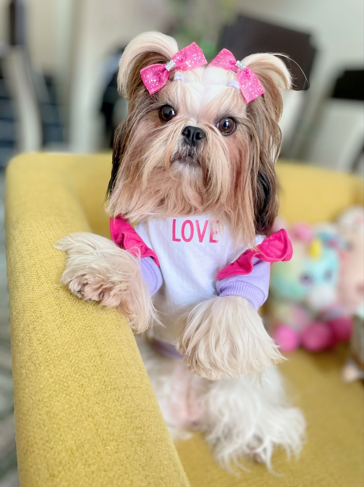 Camiseta kiss me lila