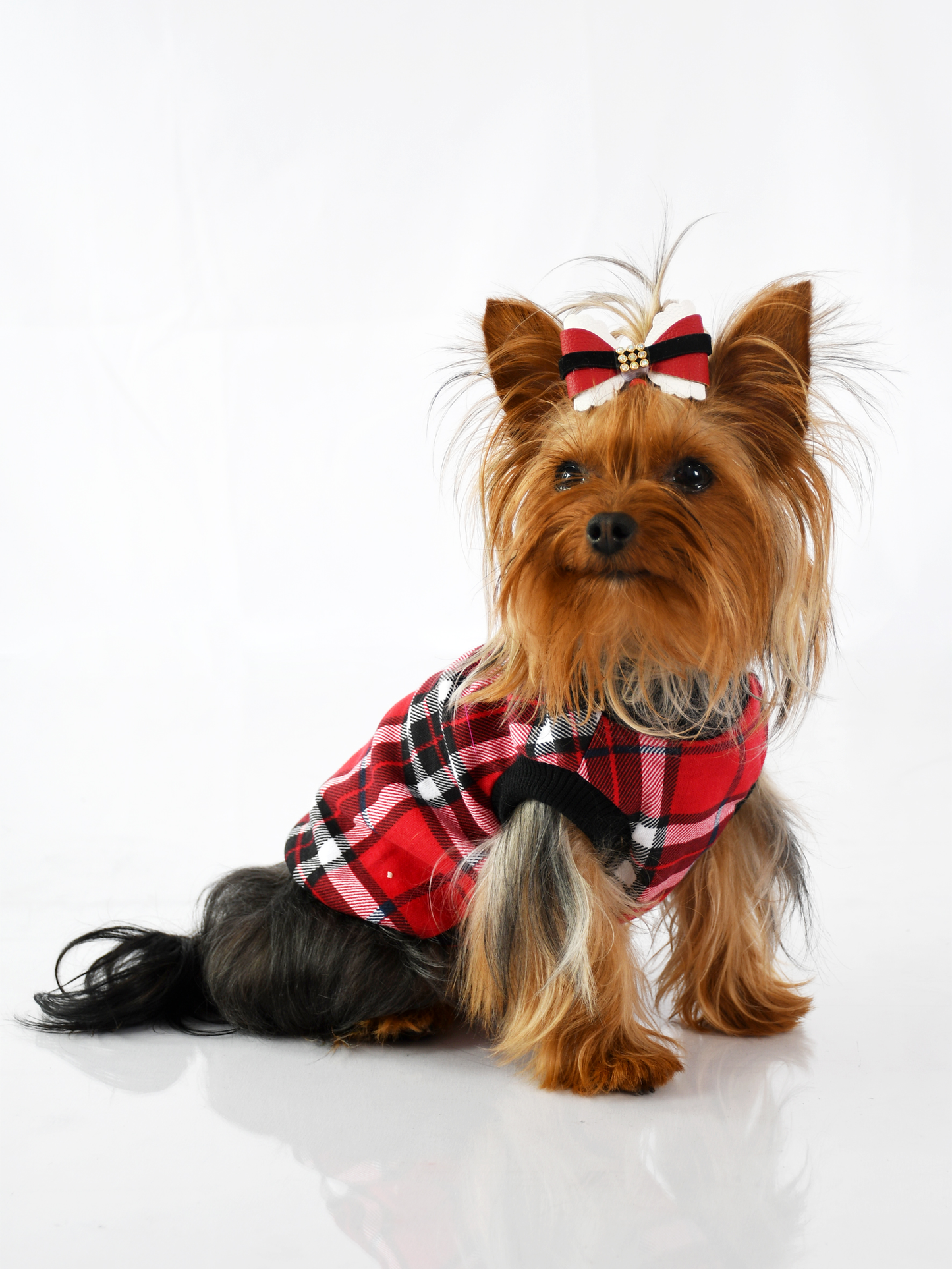 Esqueleto Leñador Rojo