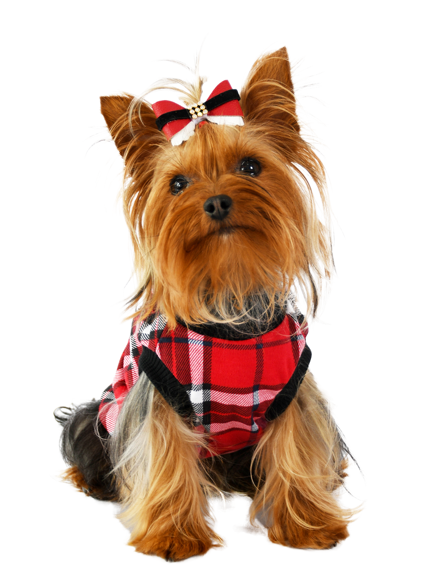 Esqueleto Leñador Rojo