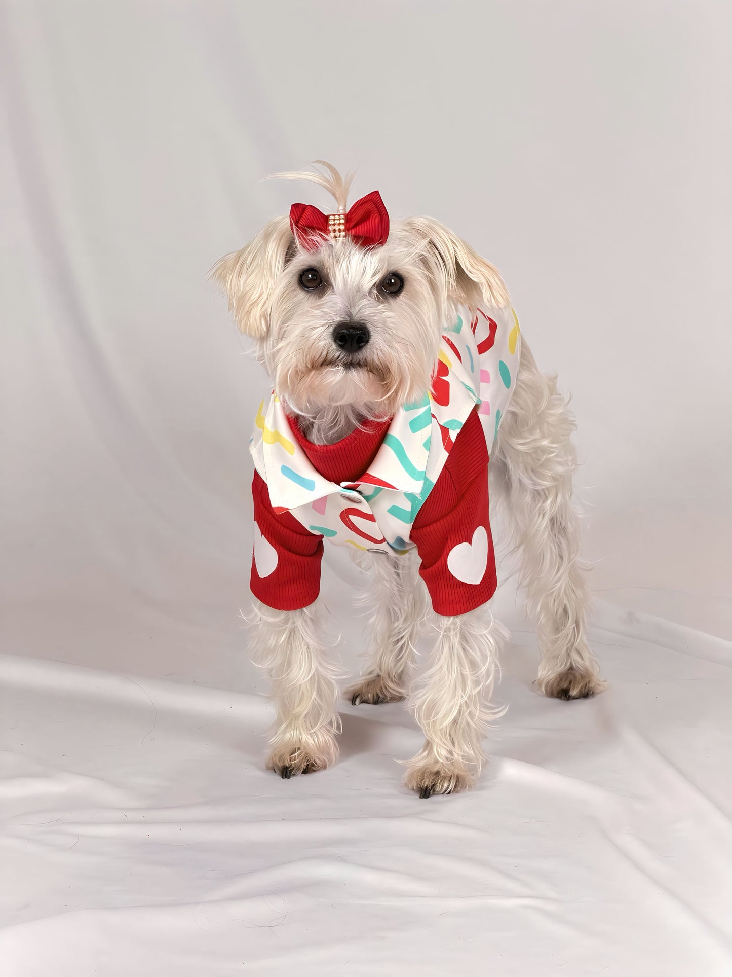 CUELLO TORTUGA BOMBÓN