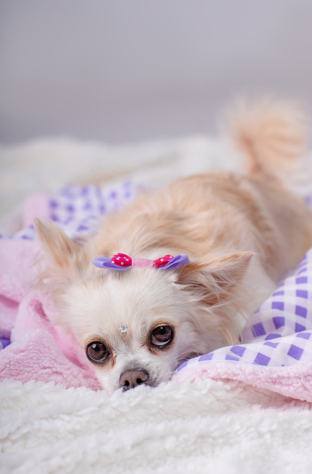 Cobija Leñadora Lila