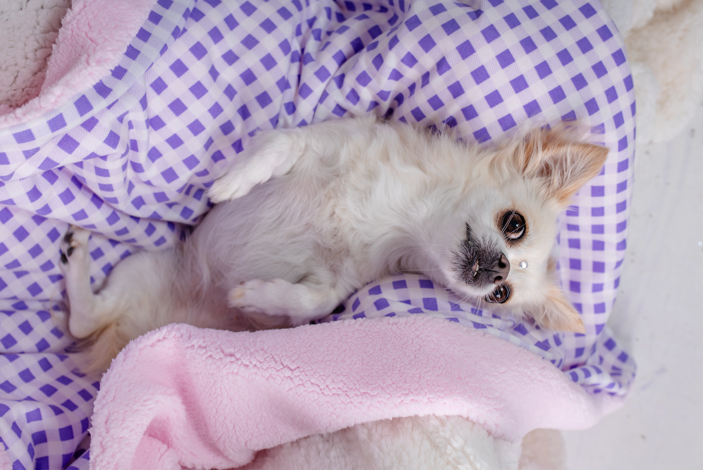 Cobija Leñadora Lila